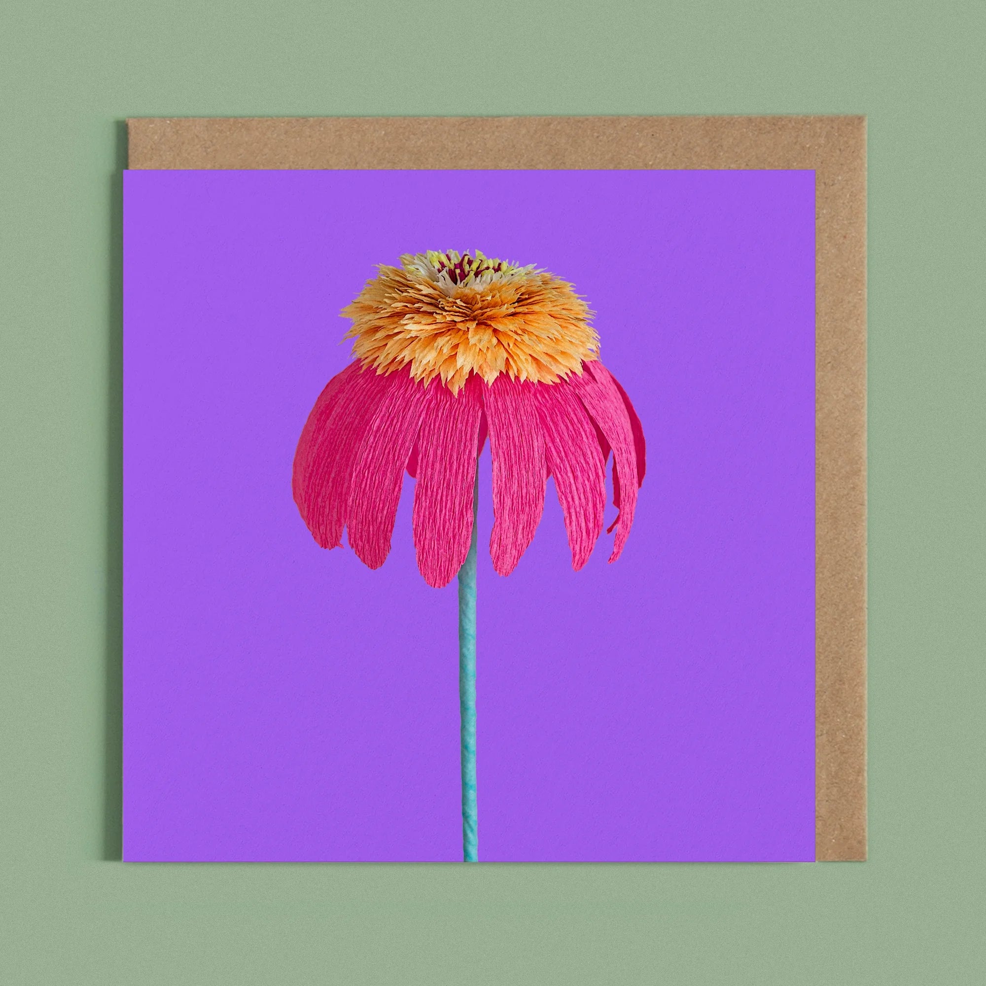 Greeting card with a image of a handcrafted paper magenta and orange echinacea on a purple background by paper artist Daphne Fitch.
