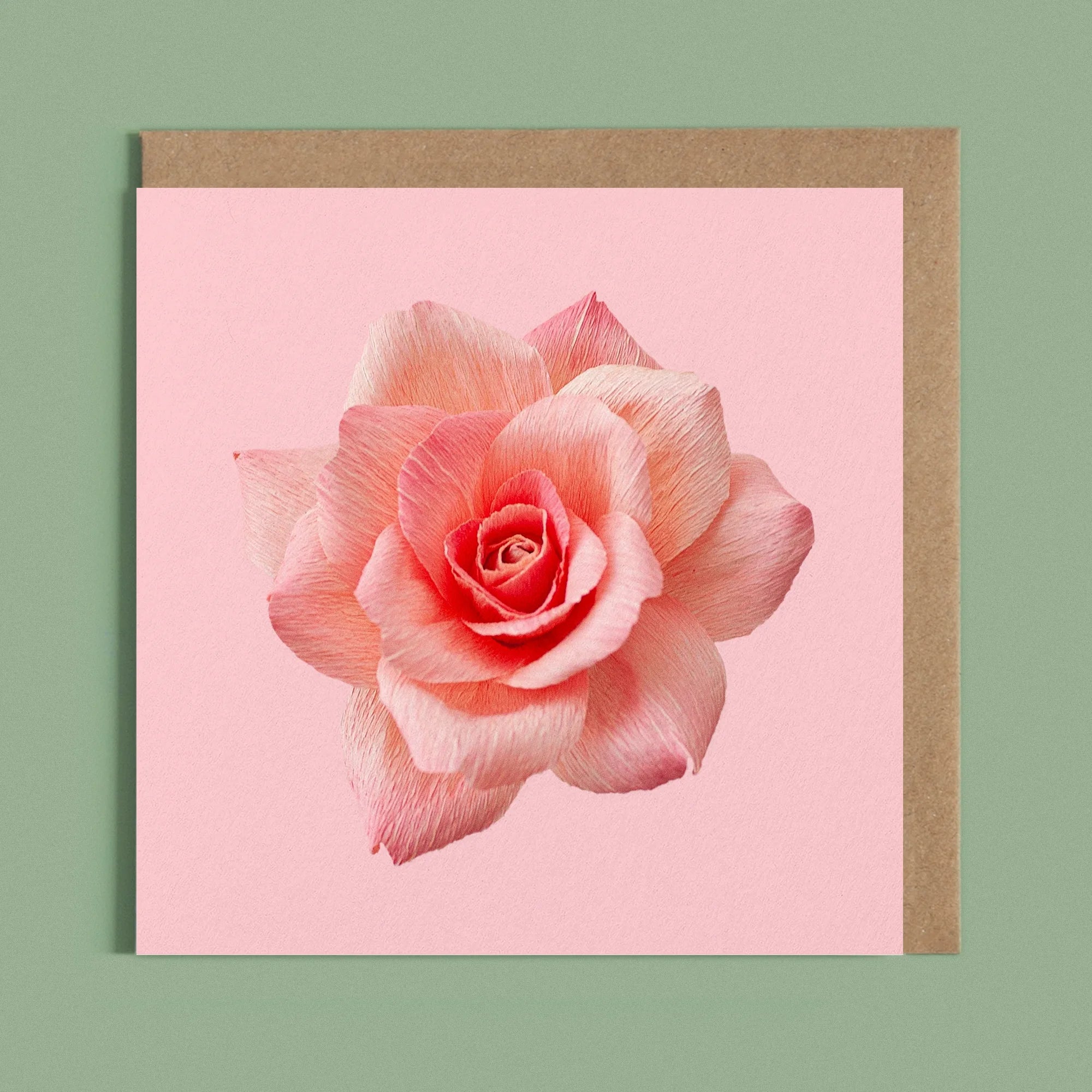 Greeting card with a image of a handcrafted paper pink rose on a soft pink background by paper artist Daphne Fitch.