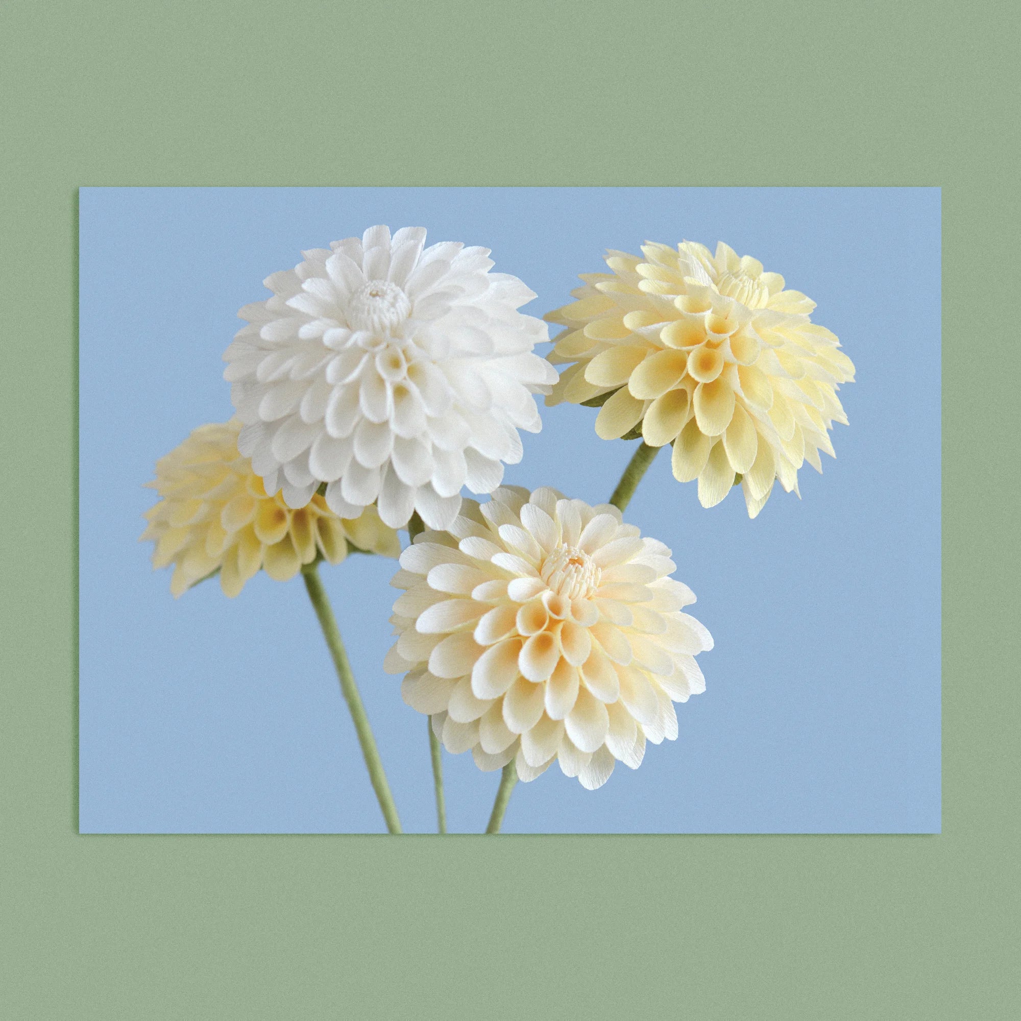Art print with a image of a handcrafted paper white and cream dahlia on a blue background colour by paper artist Daphne Fitch.
