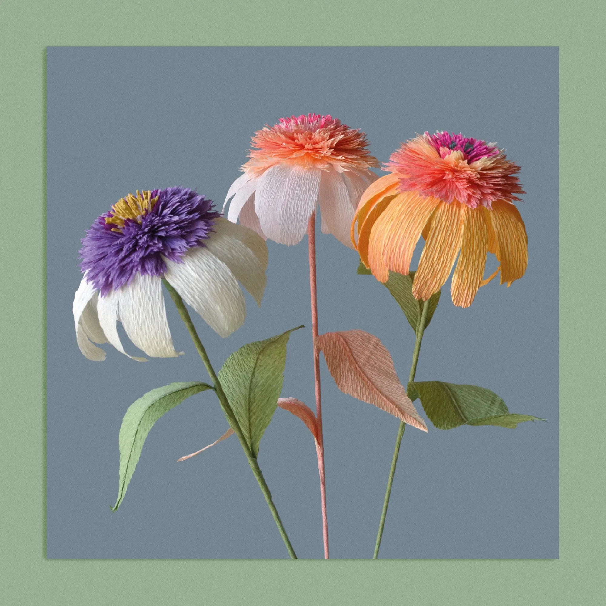 Art print with a image of a handcrafted paper trio echinacea on a smoky grey background colour by paper artist Daphne Fitch.