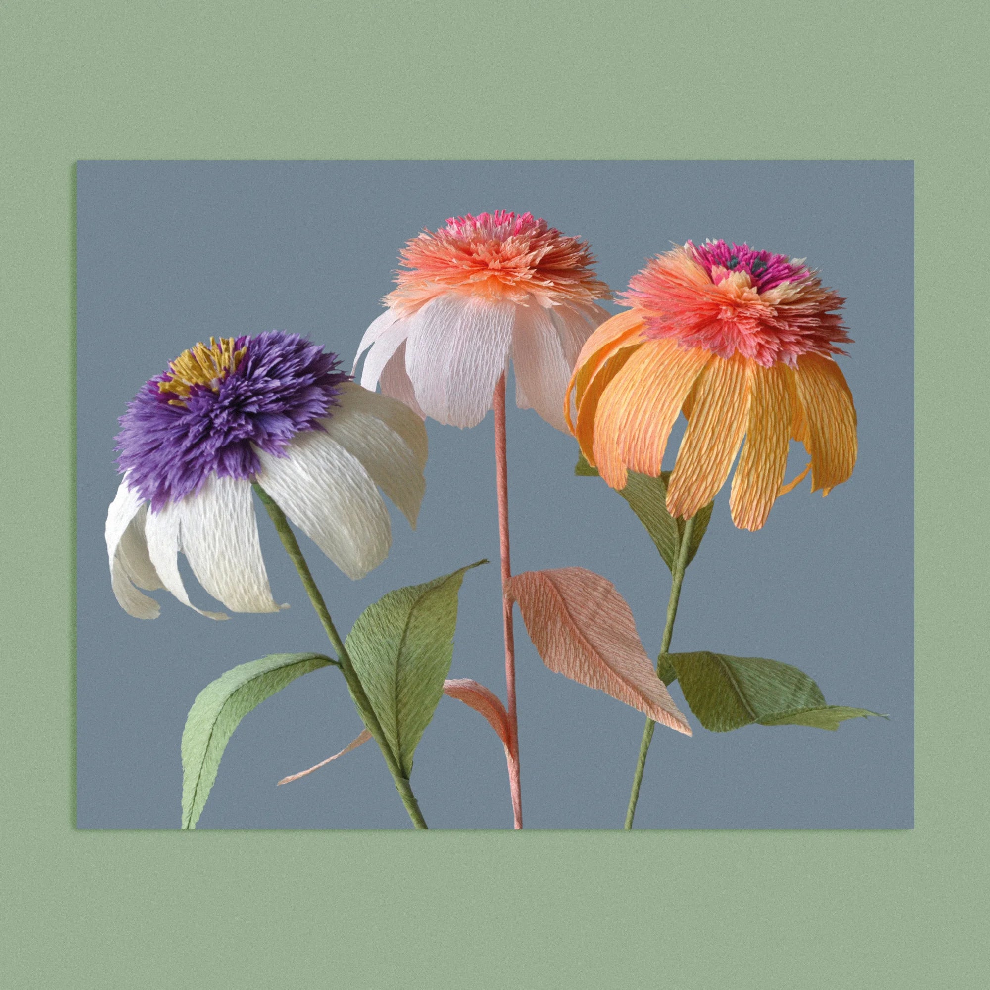 Art print with a image of a handcrafted paper trio echinacea on a smoky grey background colour by paper artist Daphne Fitch.