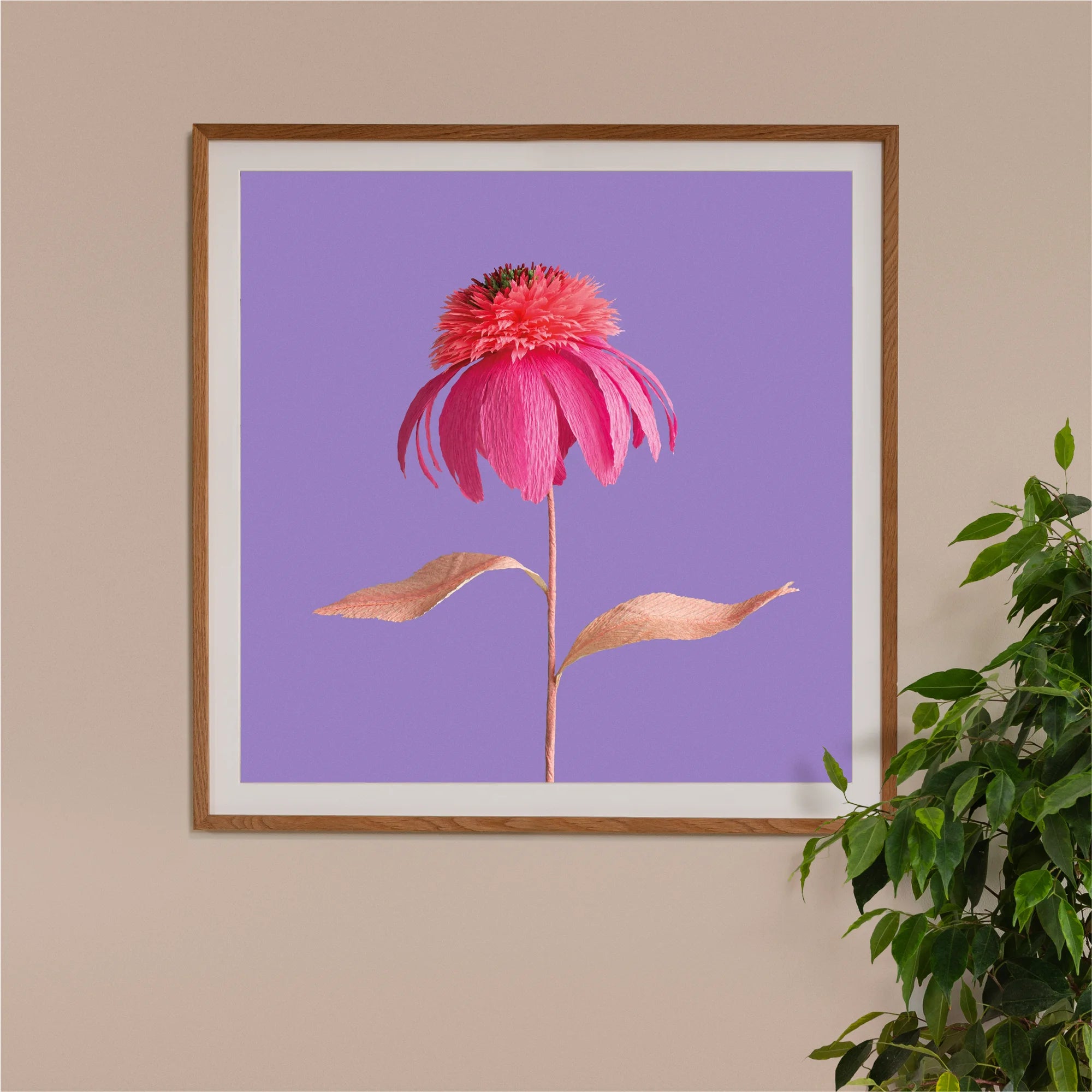Image of framed art print on a wall, featuring handcrafted paper pink echincea on a purple background. Created by paper artist Daphne Fitch.