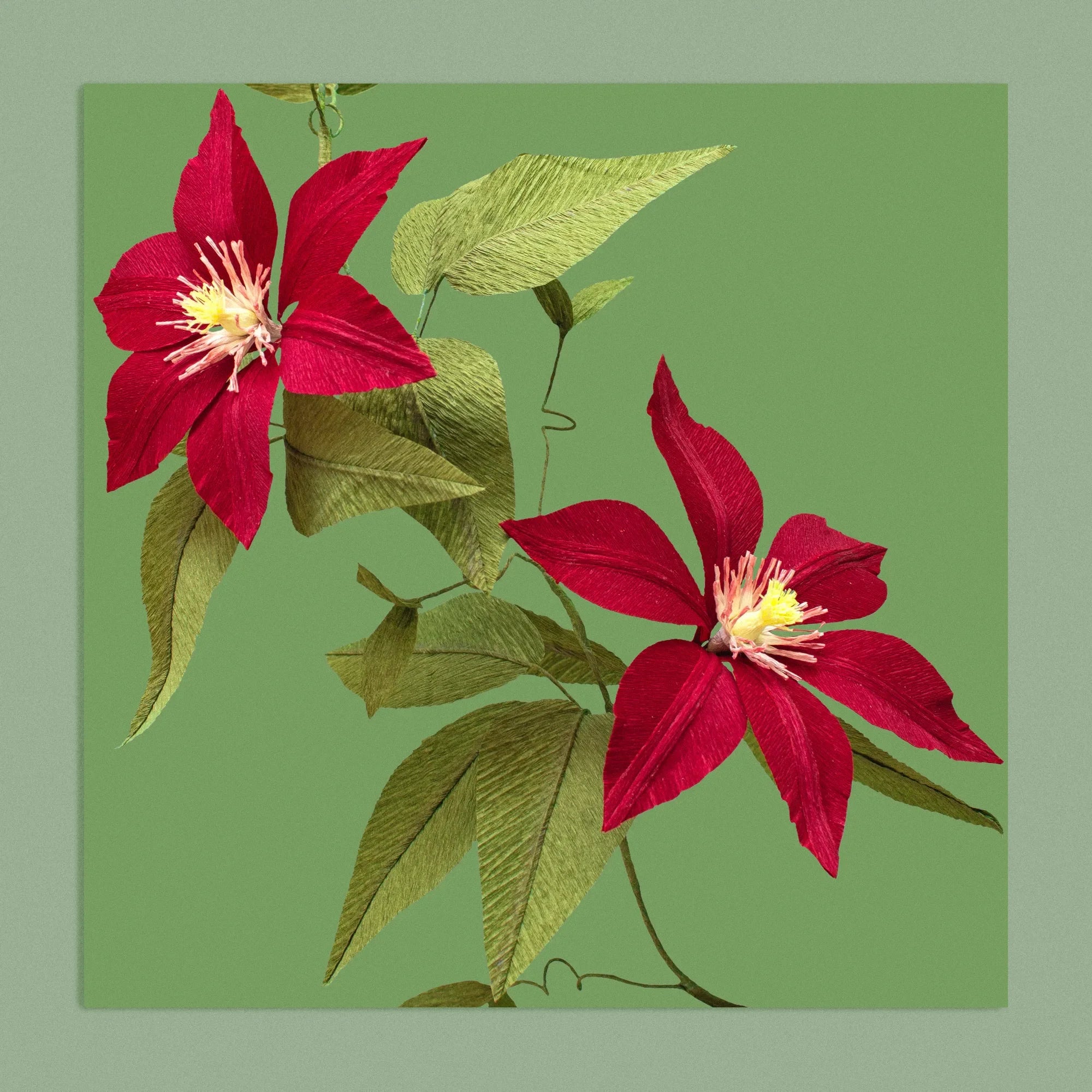 Art print with a image of a handcrafted paper red clematis on a green background colour by paper artist Daphne Fitch.