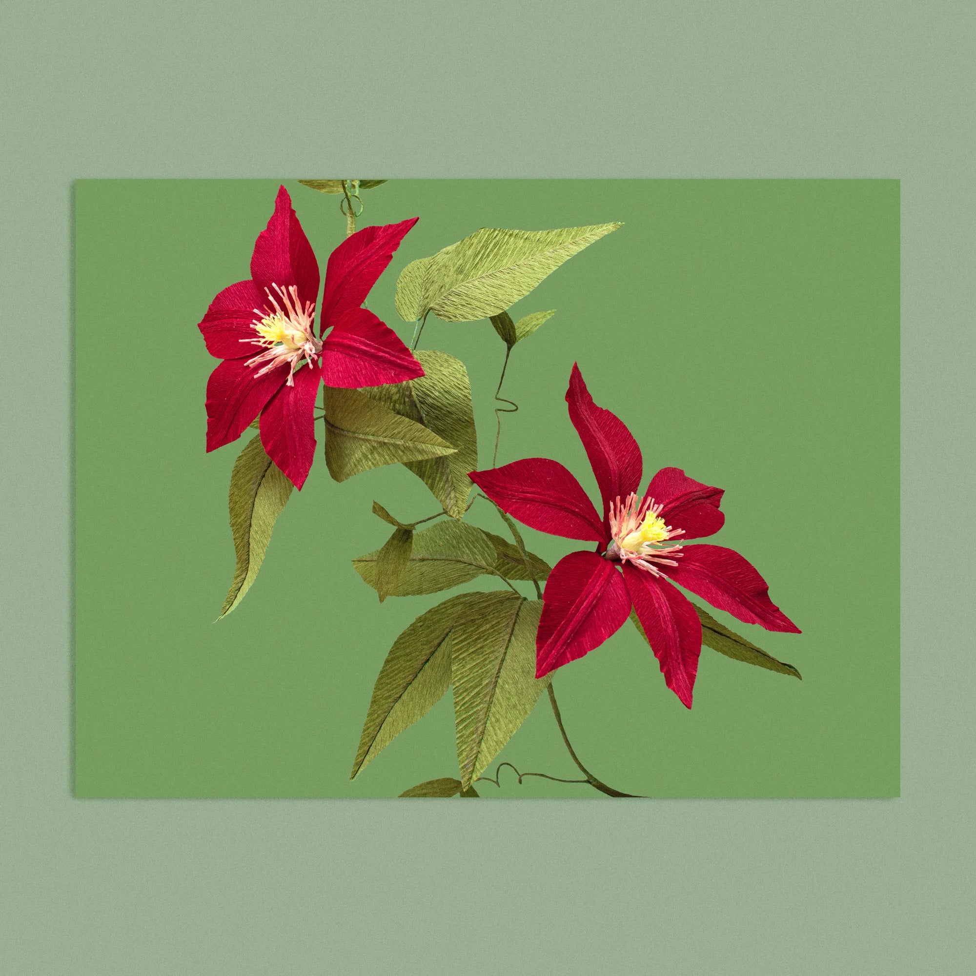 Art print with a image of a handcrafted paper red clematis on a green background colour by paper artist Daphne Fitch.