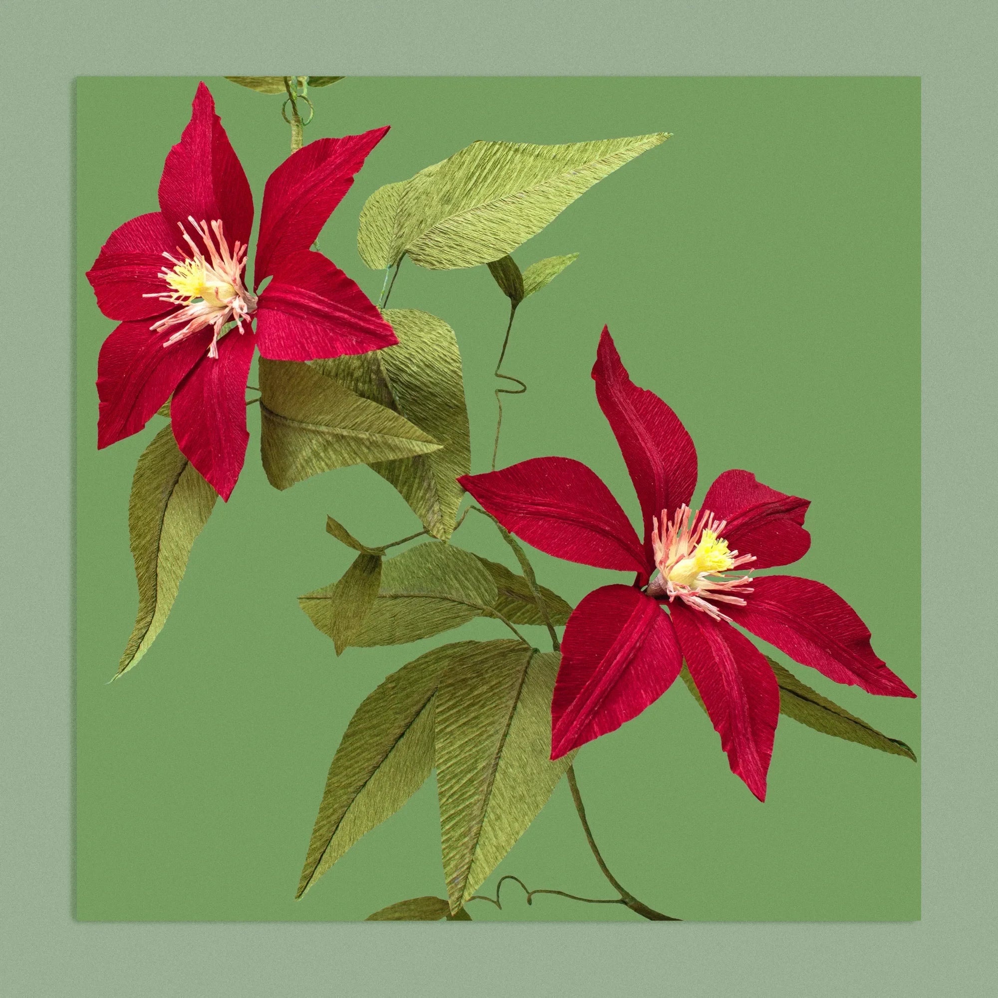 Art print with a image of a handcrafted paper red clematis on a green background colour by paper artist Daphne Fitch.
