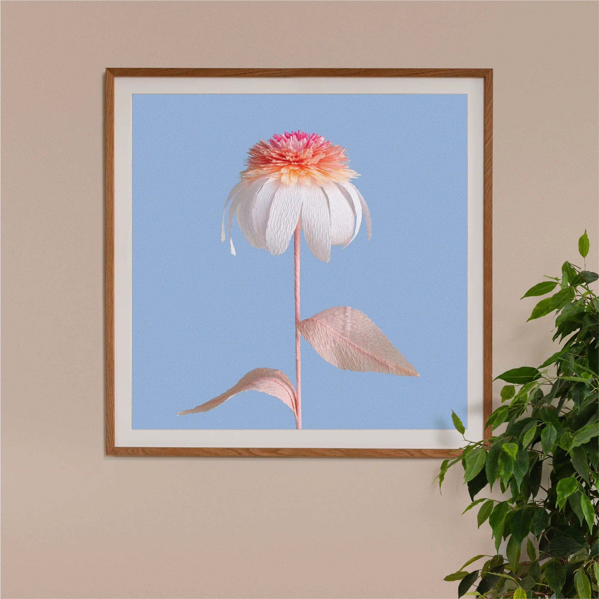 Image of framed art print on a wall, featuring handcrafted paper pink and white echinacea on a blue background. Created by paper artist Daphne Fitch.