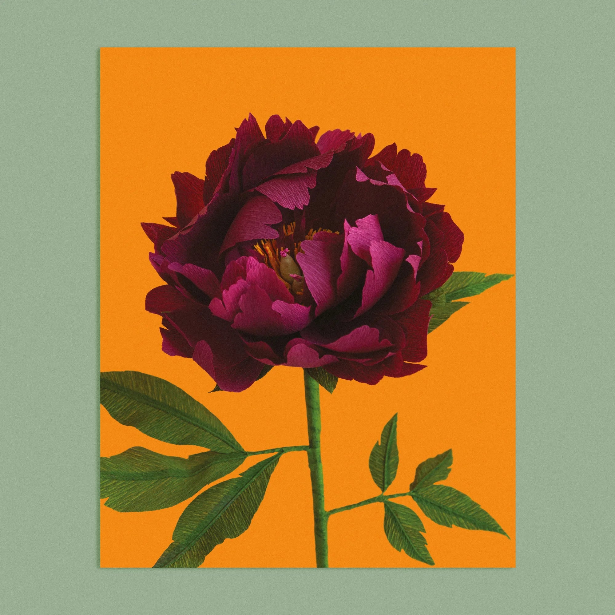 Art print with a image of a handcrafted paper garnet red peony on a marigold background colour by paper artist Daphne Fitch.
