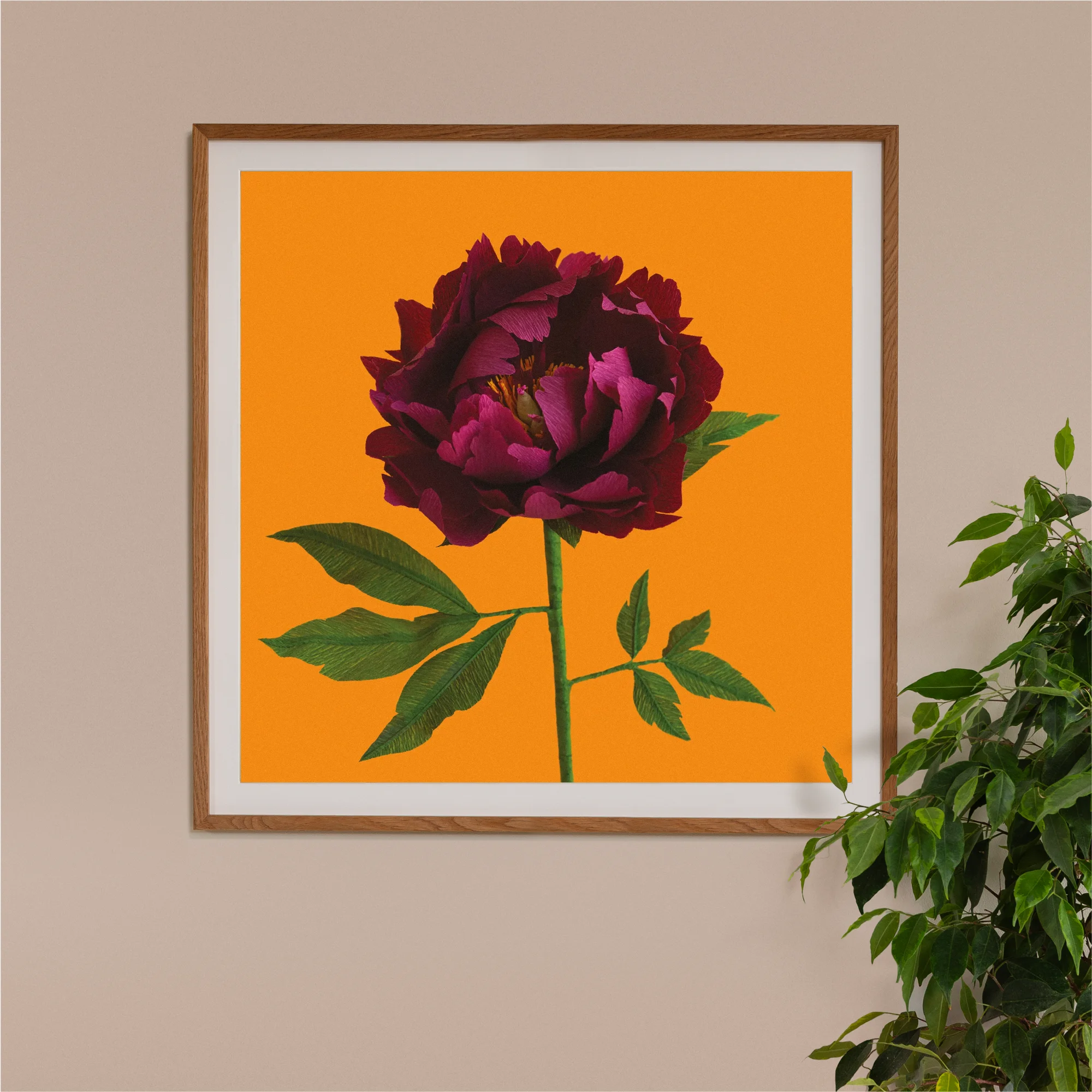 Image of framed art print on a wall, featuring handcrafted paper garnet red peony on a marigold background. Created by paper artist Daphne Fitch.