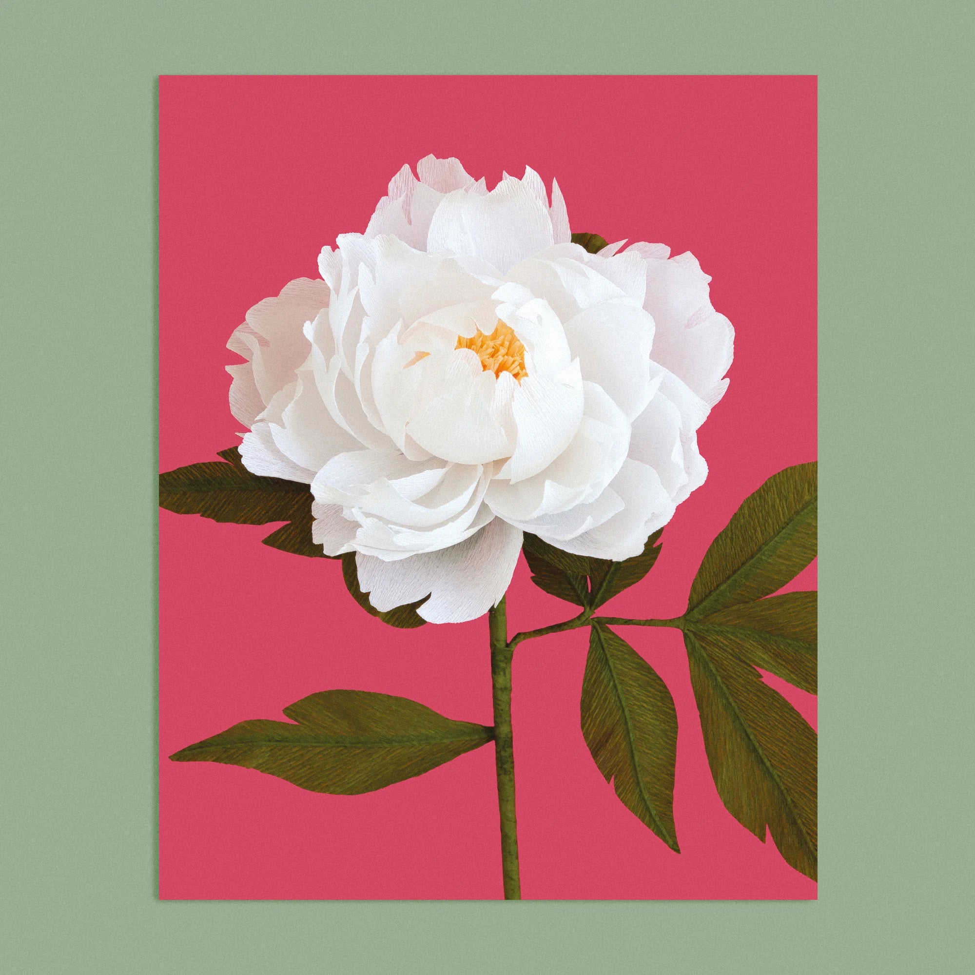 Art print with a image of a handcrafted paper white peony on a red background colour by paper artist Daphne Fitch.