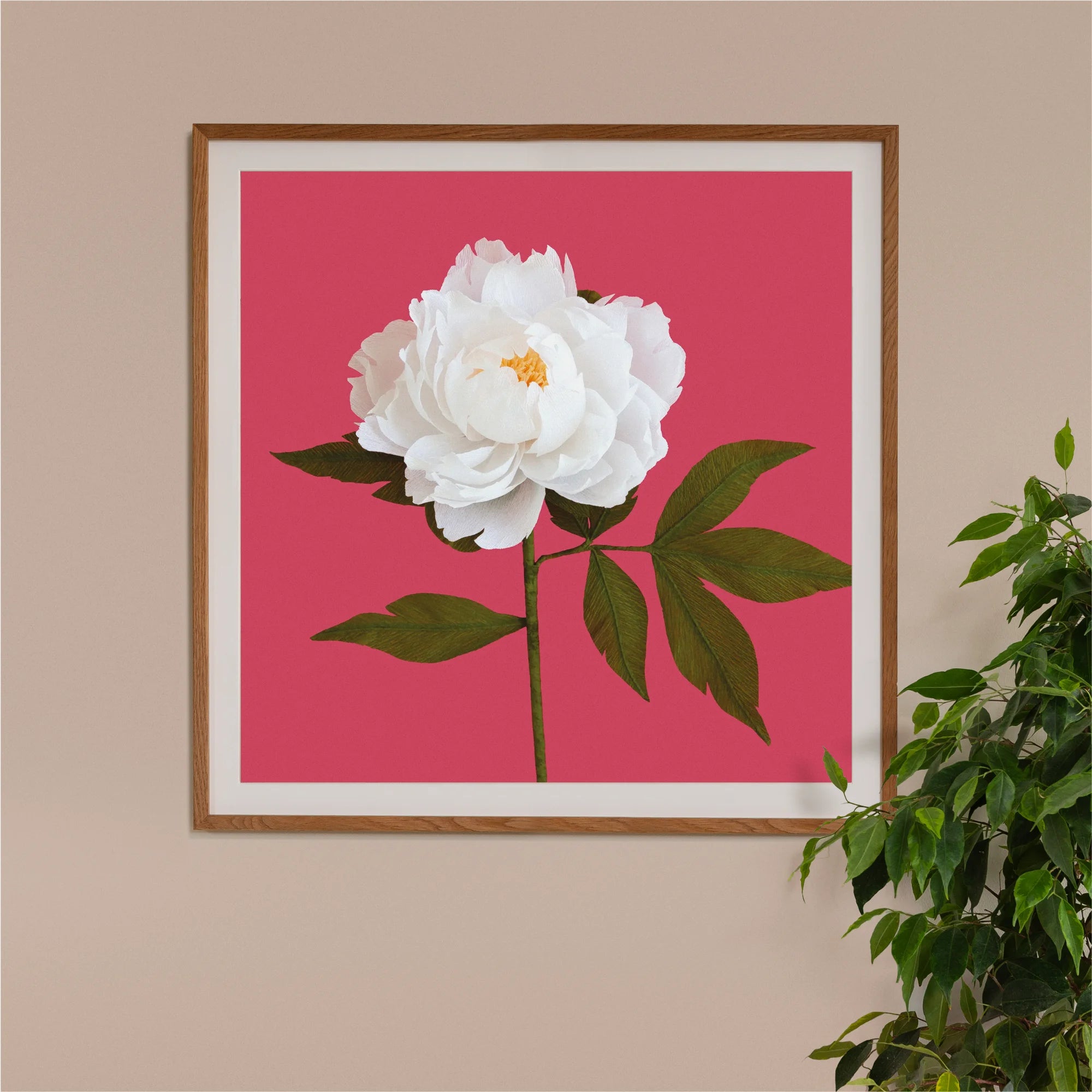 Image of framed art print on a wall, featuring handcrafted paper white peony on a red background. Created by paper artist Daphne Fitch.