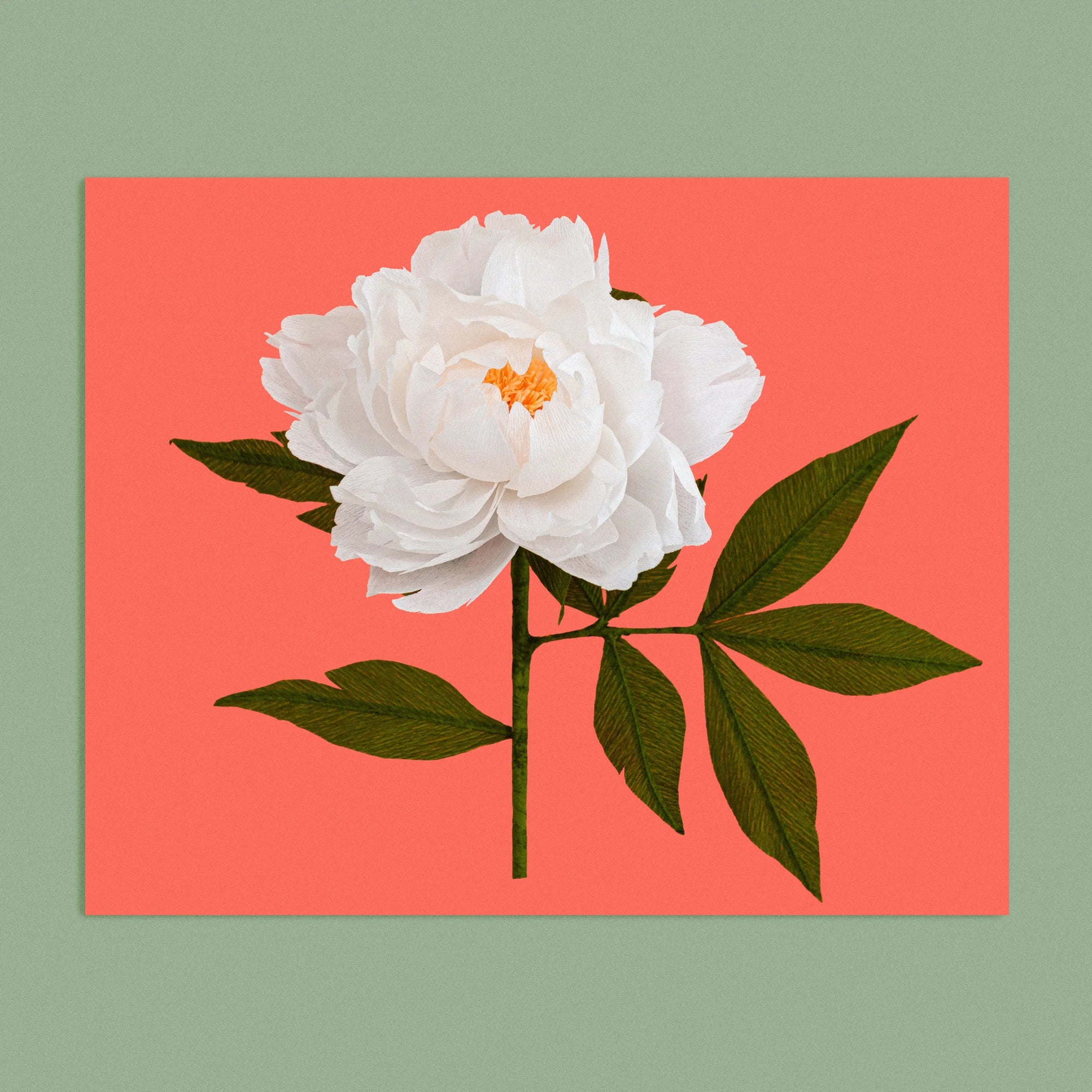 Art print with a image of a handcrafted paper white peony on a bright orange background colour by paper artist Daphne Fitch.