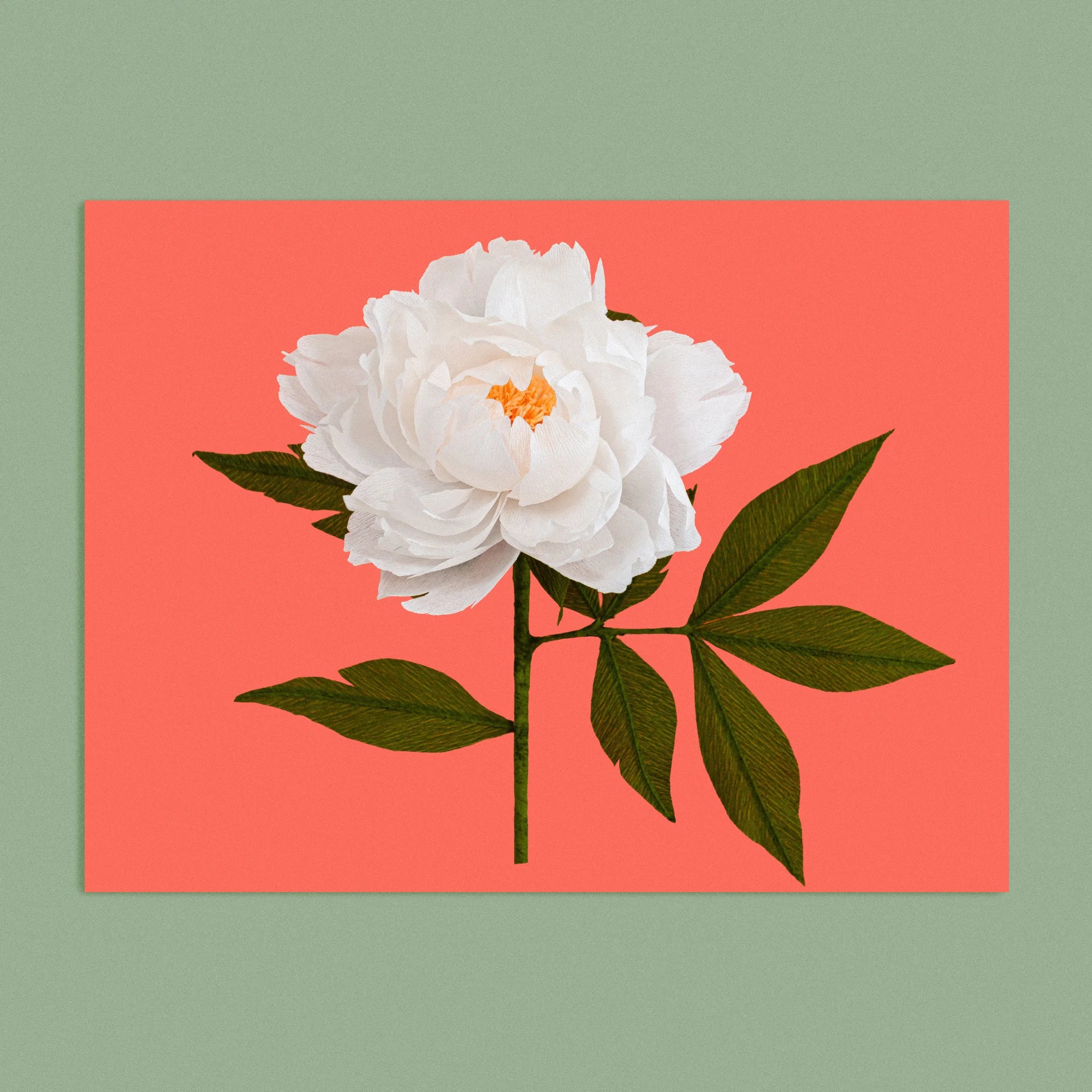 Art print with a image of a handcrafted paper white peony on a bright orange background colour by paper artist Daphne Fitch.