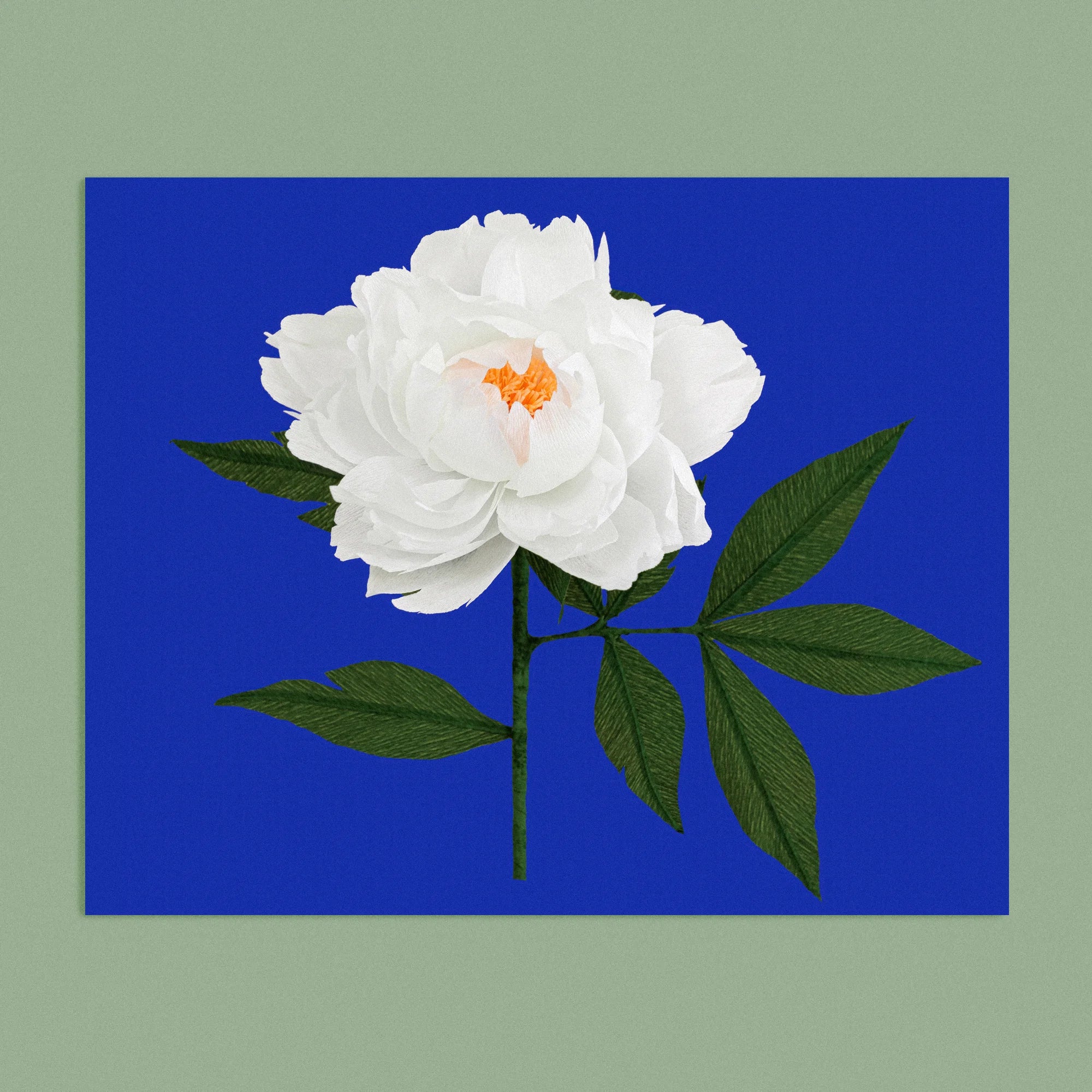 Art print with a image of a handcrafted paper white peony on a bright blue background colour by paper artist Daphne Fitch.