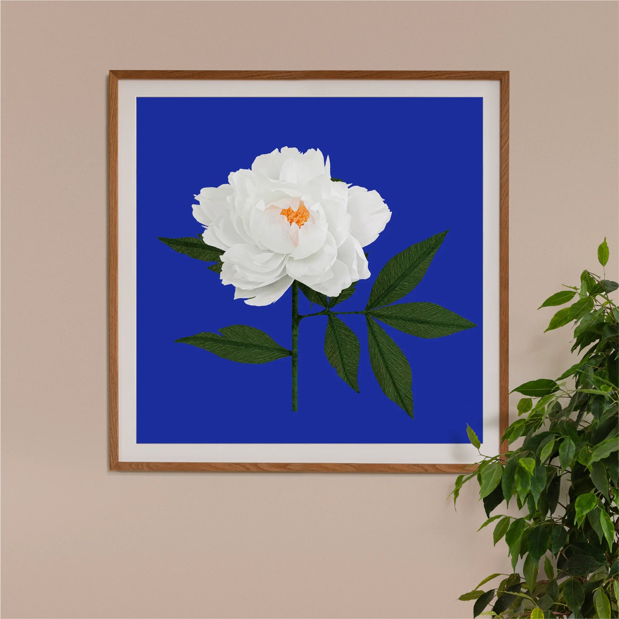 Image of framed art print on a wall, featuring handcrafted paper white peony on a blue background. Created by paper artist Daphne Fitch.