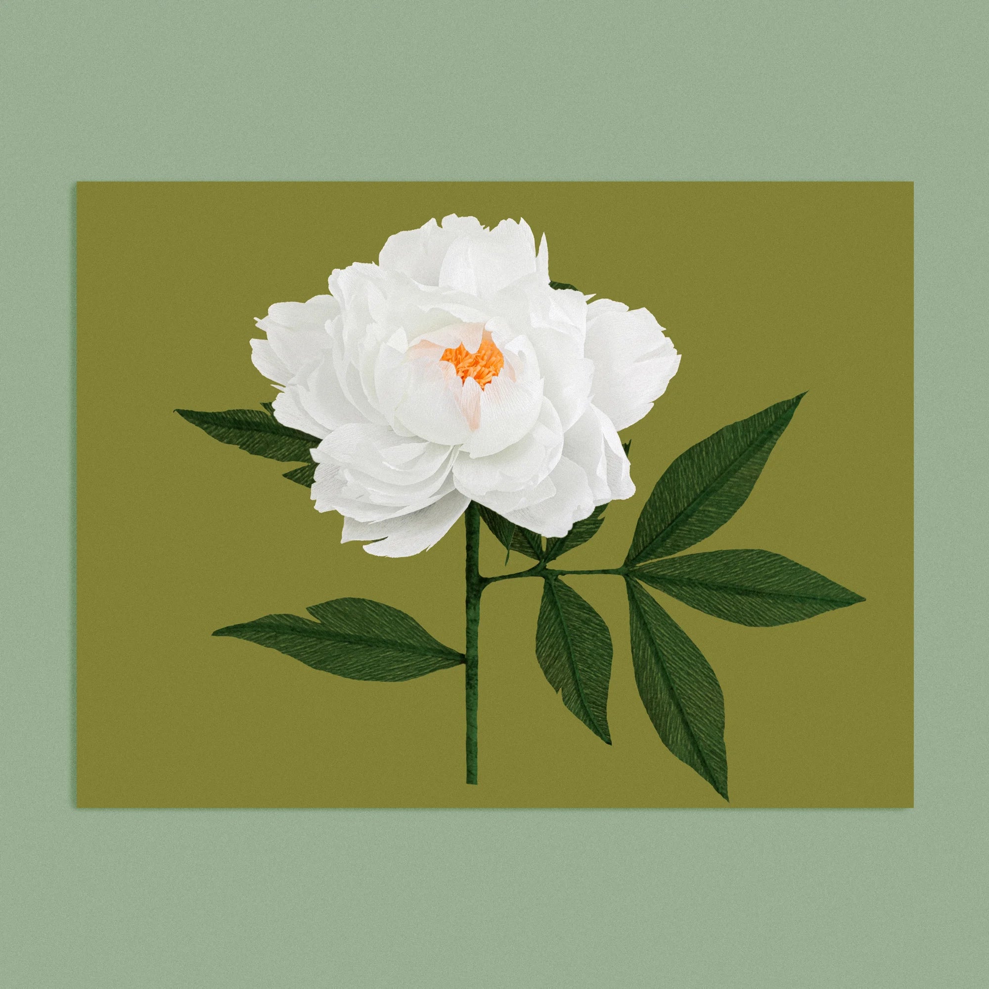 Art print with a image of a handcrafted paper White Peony on a khaki green background colour by paper artist Daphne Fitch.