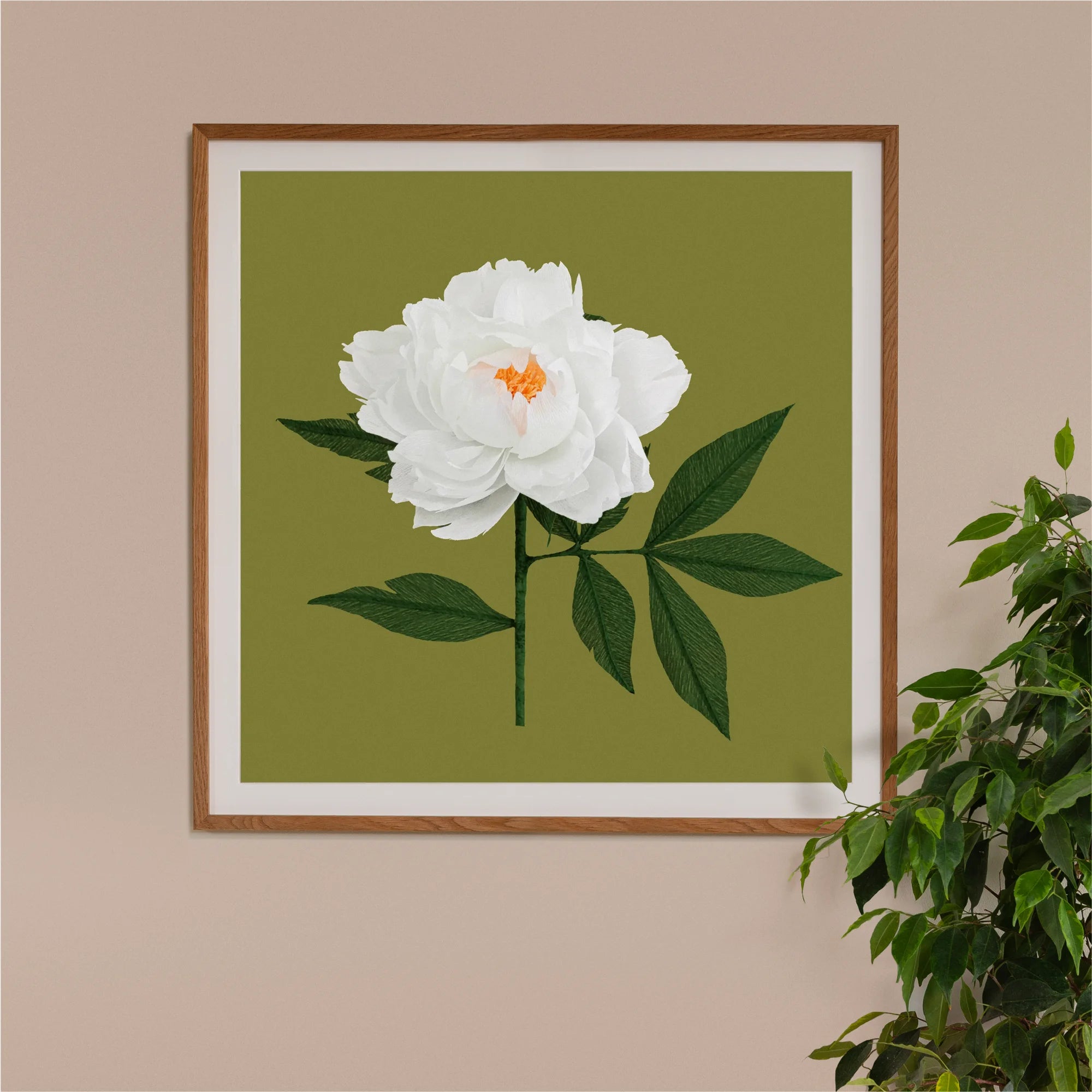 Image of framed art print on a wall, featuring handcrafted paper white peony on a green background. Created by paper artist Daphne Fitch.
