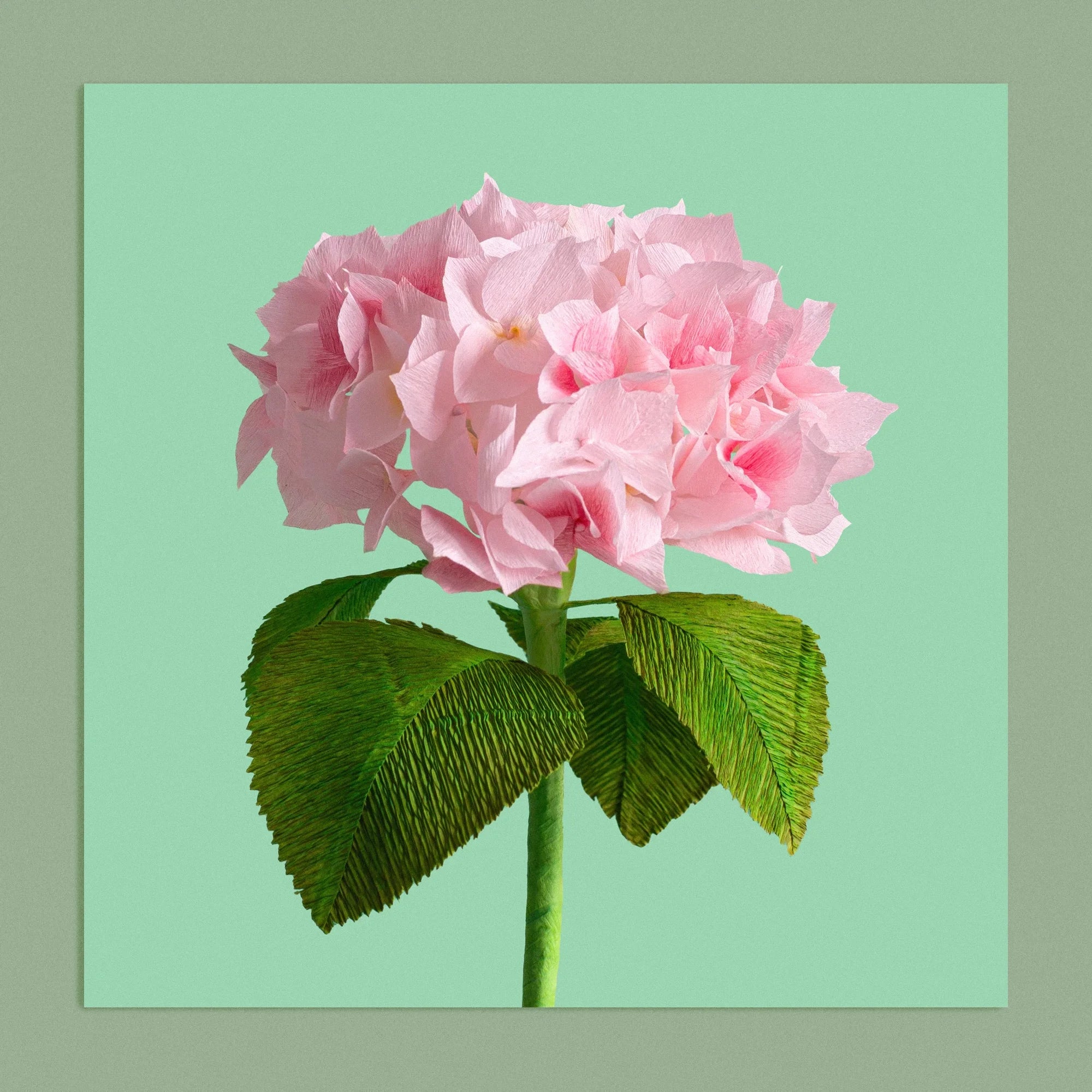 Art print with a image of a handcrafted paper pink hydrangea on a green background colour by paper artist Daphne Fitch.