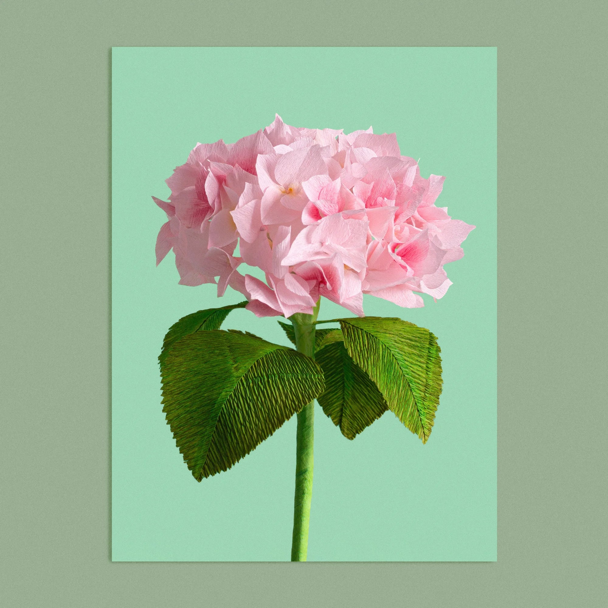 Art print with a image of a handcrafted paper pink hydrangea on a green background colour by paper artist Daphne Fitch.