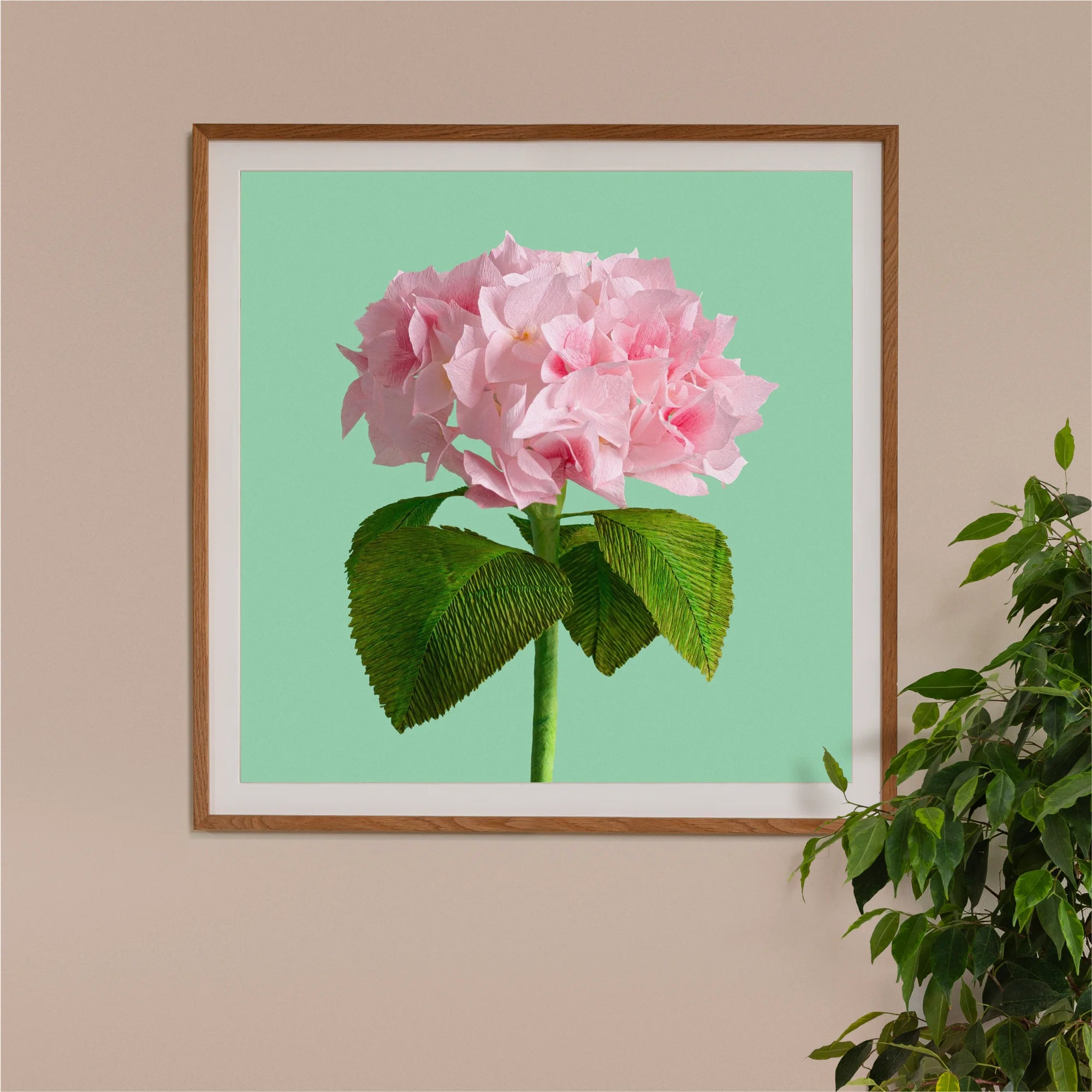 Image of framed art print on a wall, featuring handcrafted paper pink hydrangea on a green background. Created by paper artist Daphne Fitch.