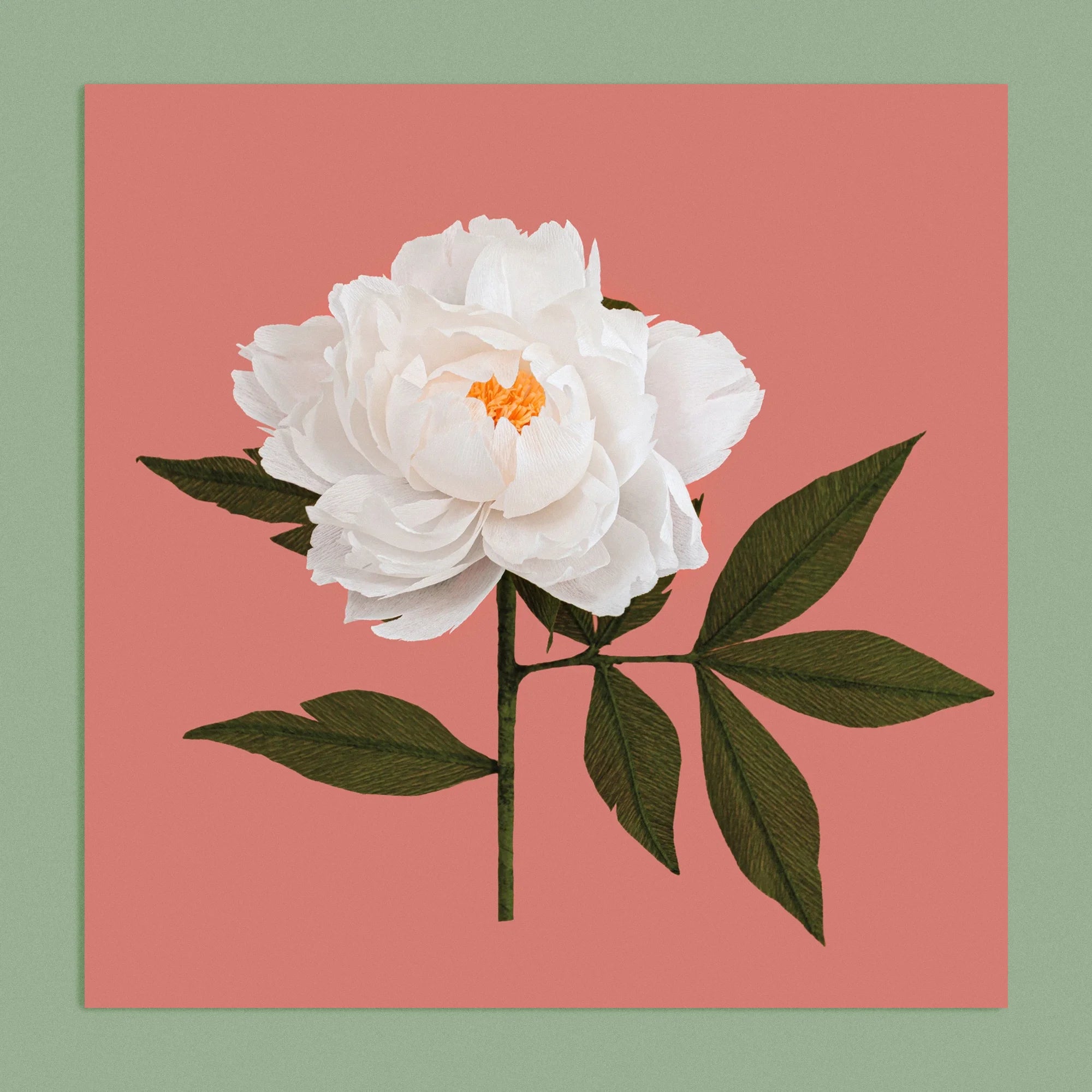 Art print with a image of a handcrafted paper white peony on a coral background colour by paper artist Daphne Fitch.