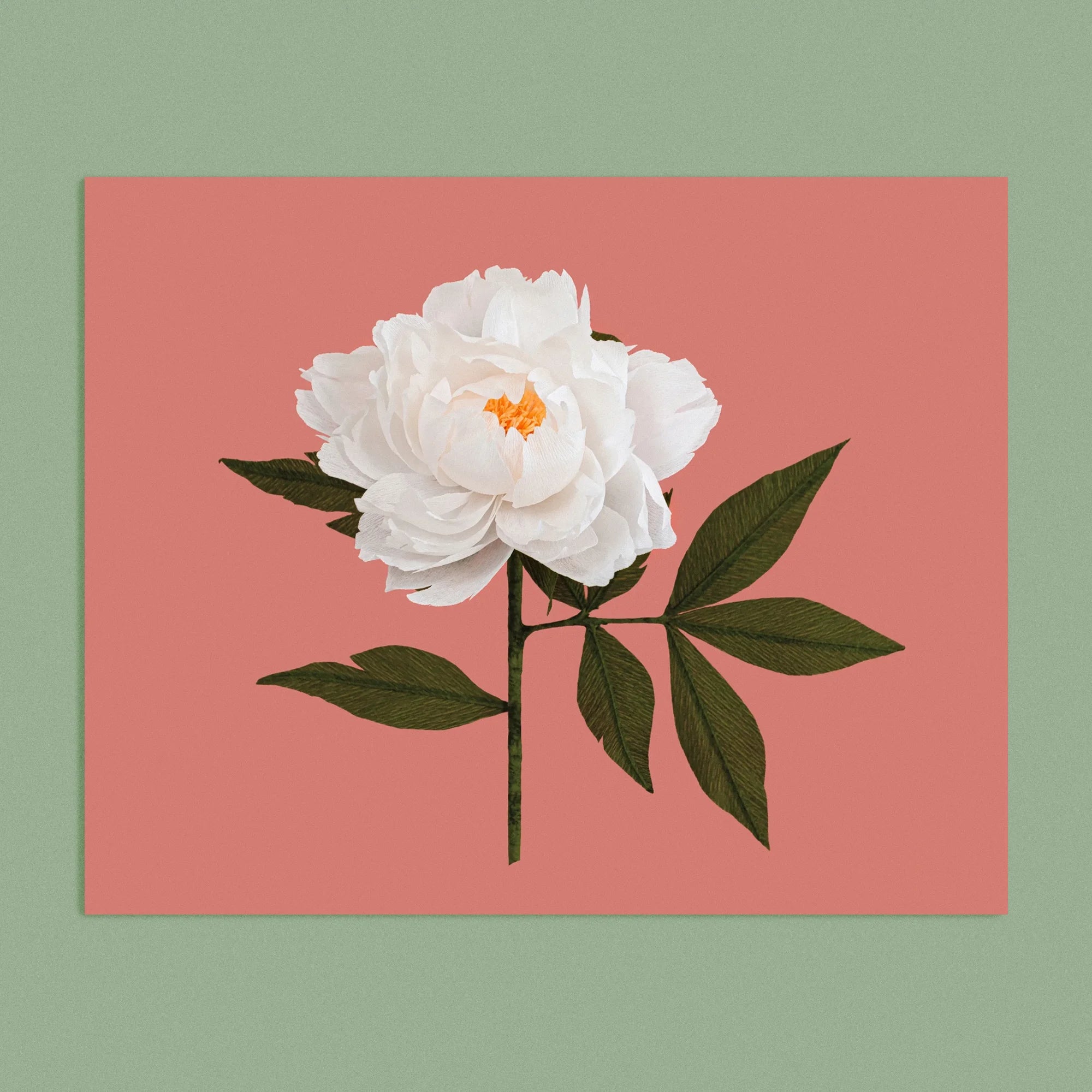 Art print with a image of a handcrafted paper white peony on a coral background colour by paper artist Daphne Fitch.