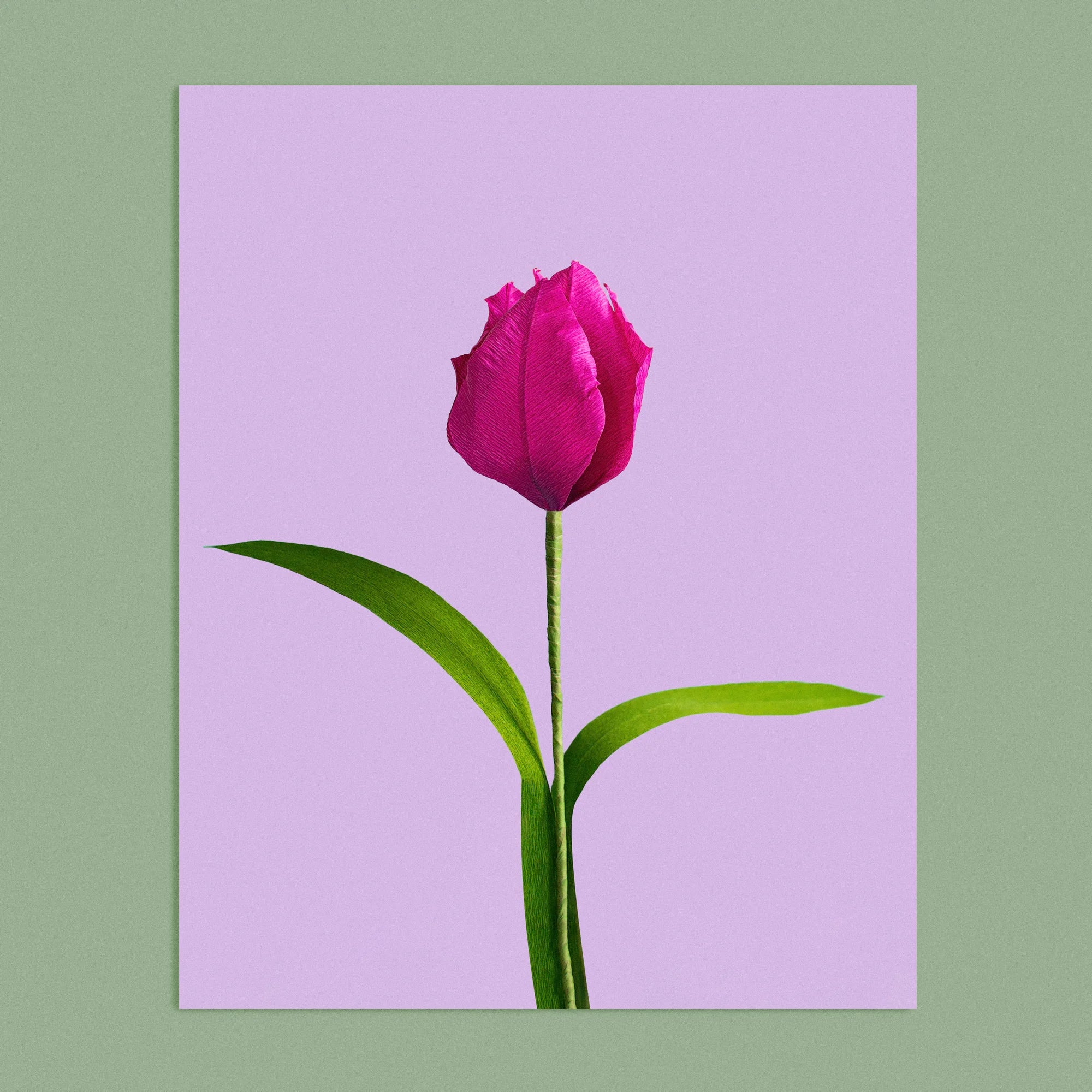 Art print with a image of a handcrafted paper pink tulip on a lilac background colour by paper artist Daphne Fitch.