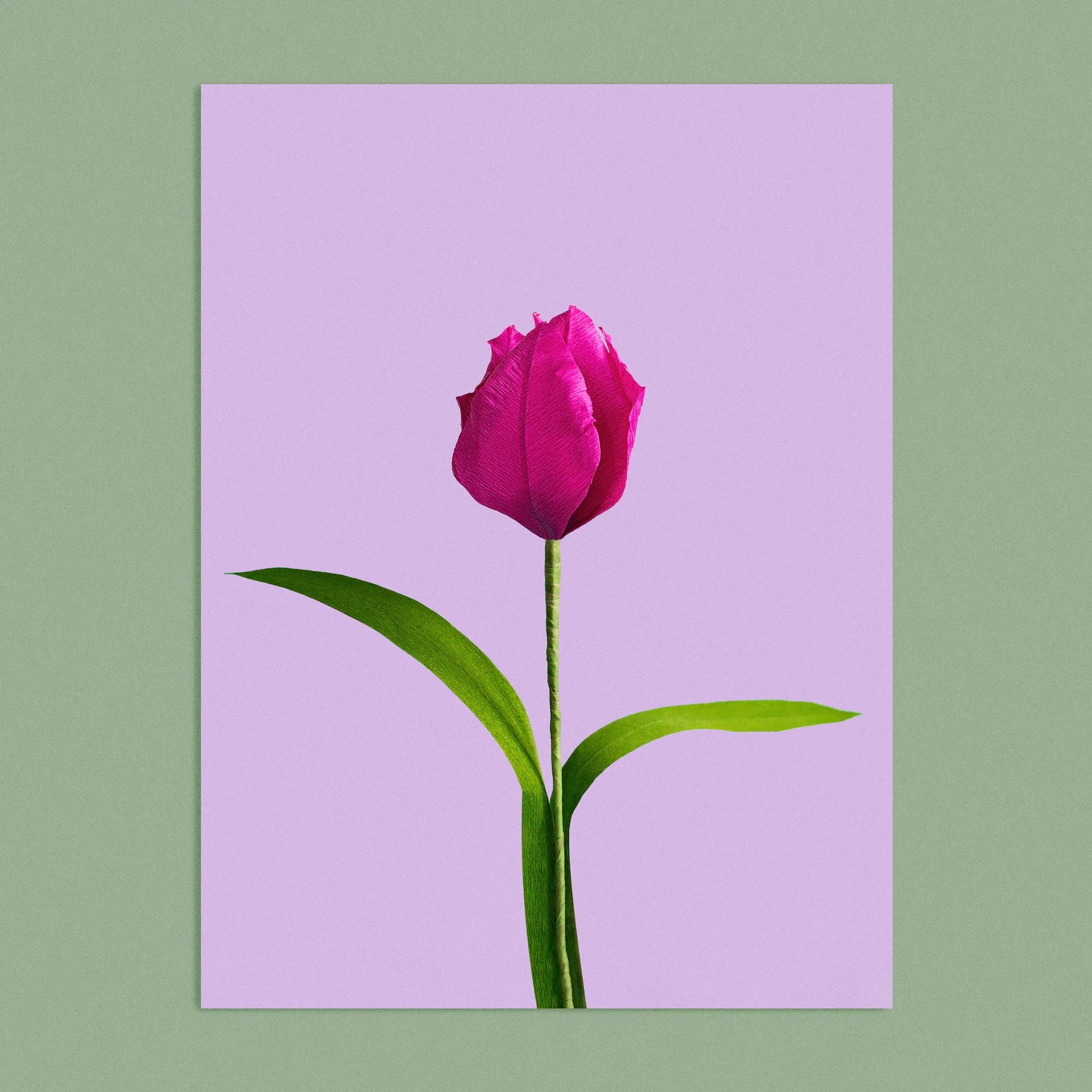 Art print with a image of a handcrafted paper pink tulip on a lilac background colour by paper artist Daphne Fitch.