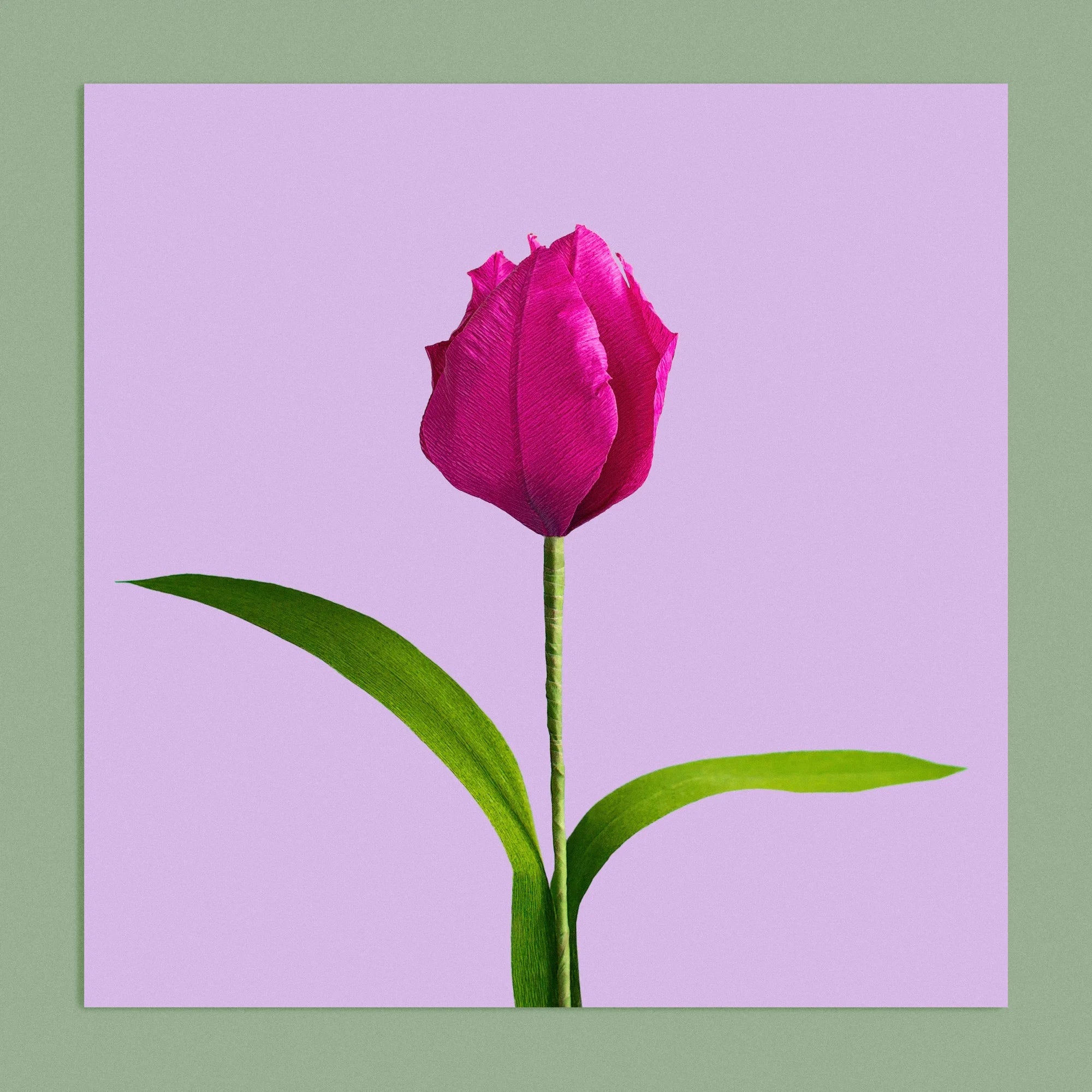 Art print with a image of a handcrafted paper pink tulip on a lilac background colour by paper artist Daphne Fitch.