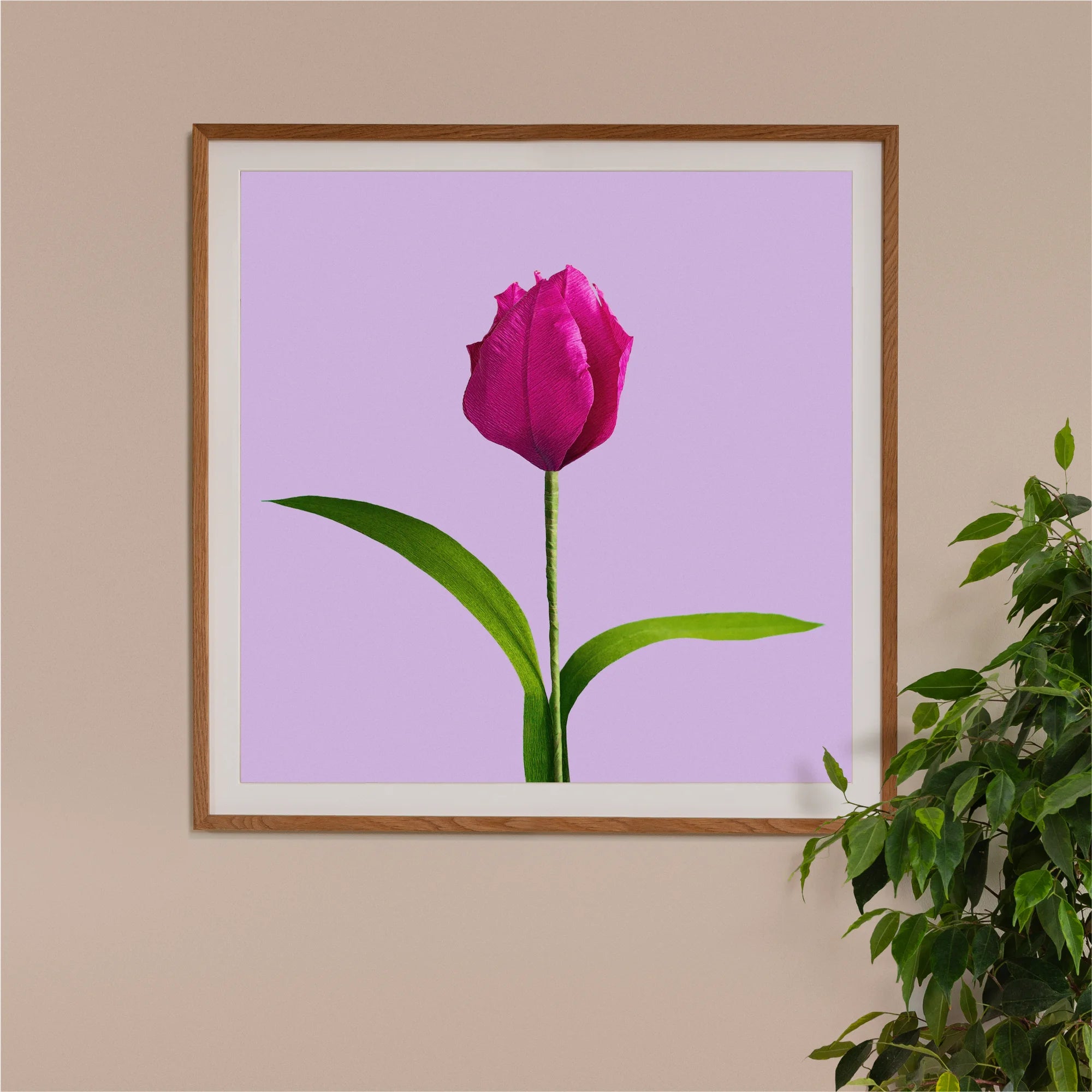 Image of framed art print on a wall, featuring handcrafted paper pink tulip on a lilac background. Created by paper artist Daphne Fitch.