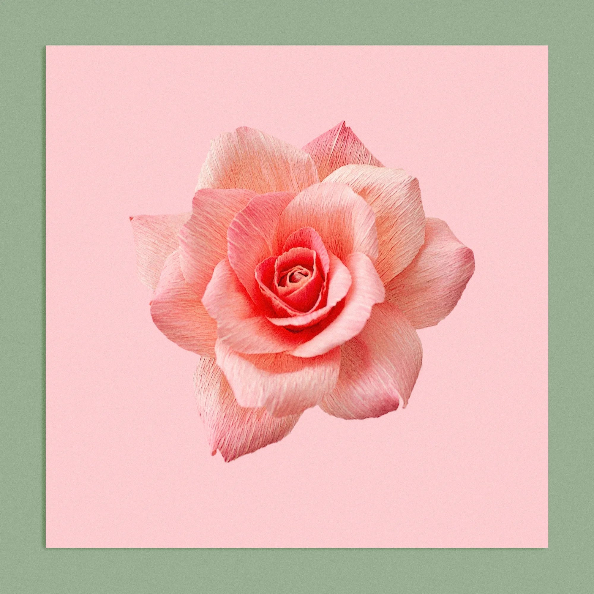 Art print with a image of a handcrafted paper pink rose on a soft pink background colour by paper artist Daphne Fitch.