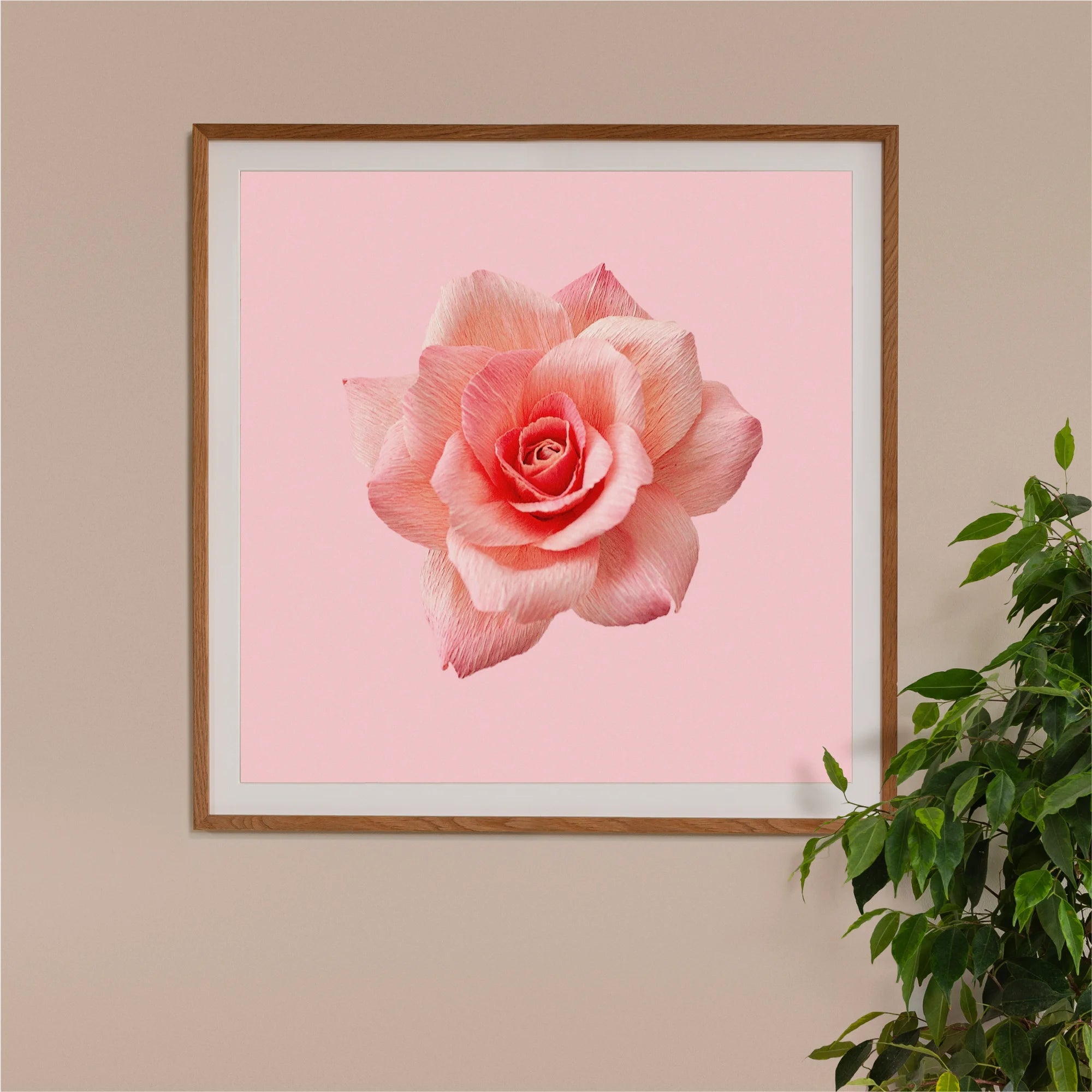 Image of framed art print on a wall, featuring handcrafted paper pink rose on a soft pink background. Created by paper artist Daphne Fitch.
