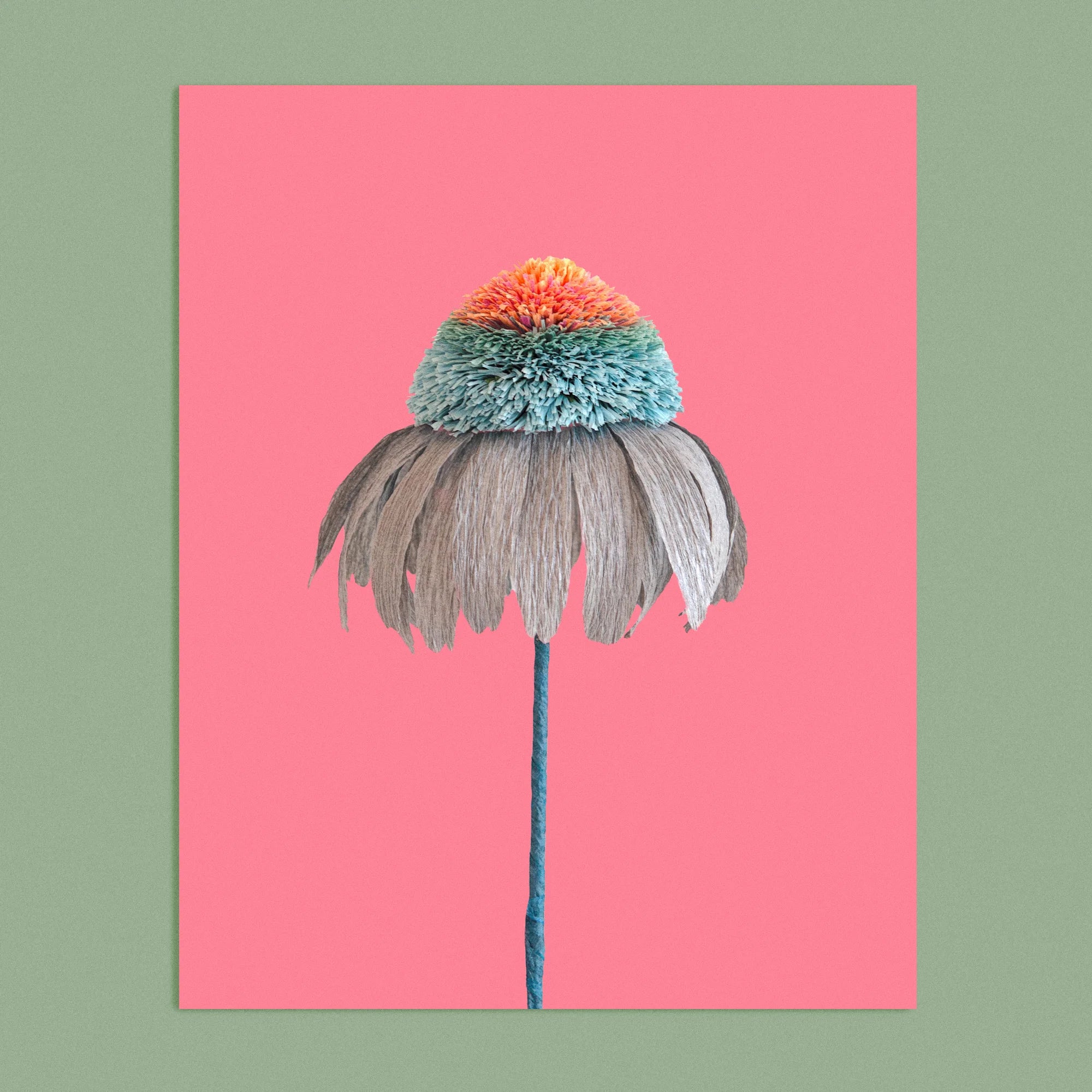 Art print with a image of a handcrafted paper blue and orange echinacea on a bright pink background colour by paper artist Daphne Fitch.