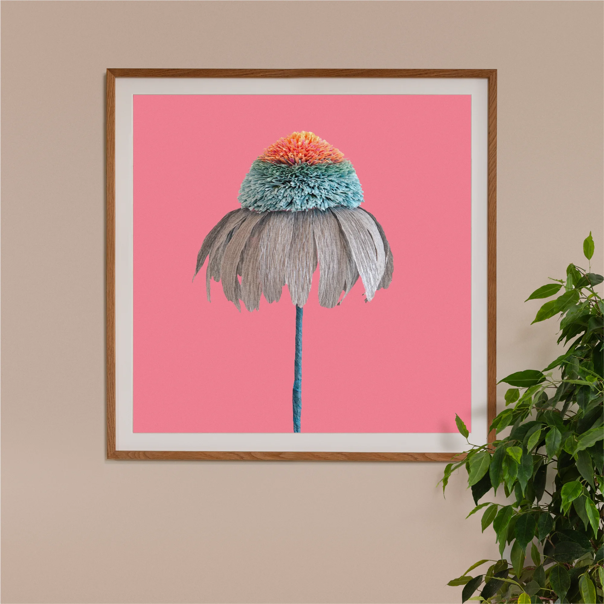 Image of framed art print on a wall, featuring handcrafted paper blue and orange echinacea on a pink background. Created by paper artist Daphne Fitch.