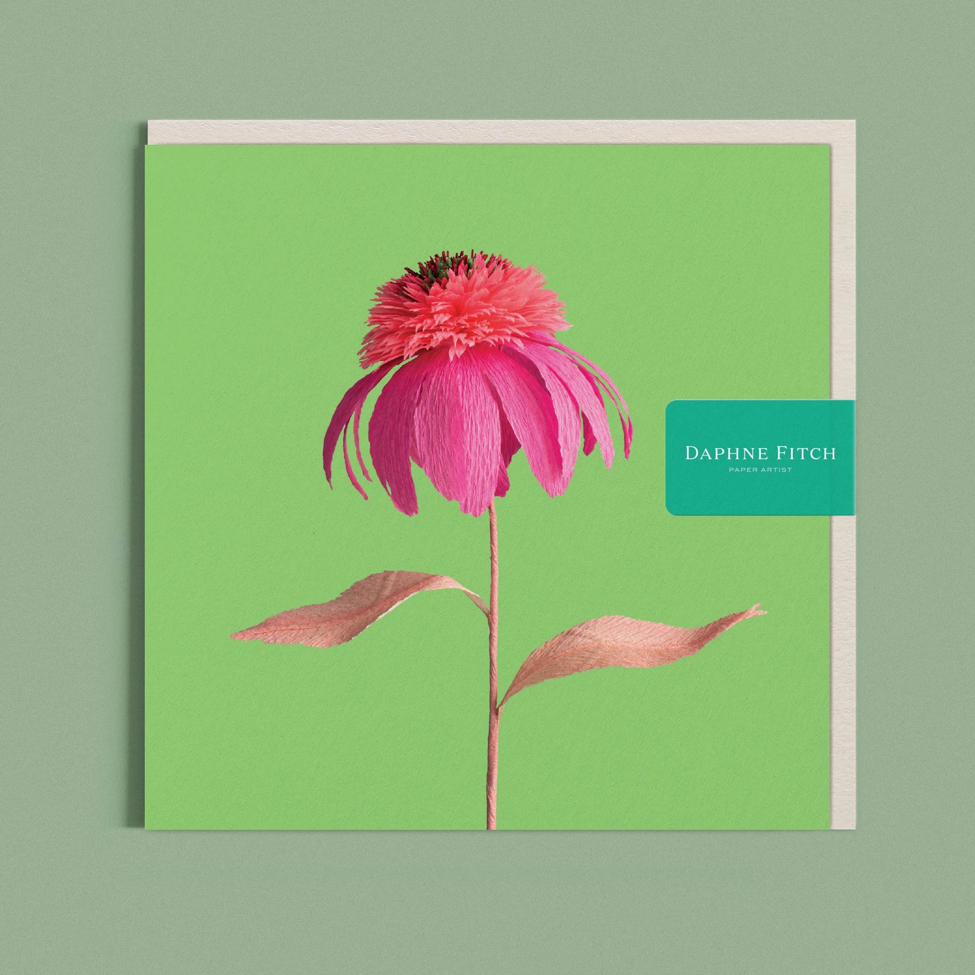 Greeting card with a image of a handcrafted paper pink echinacea on a bright green background by paper artist Daphne Fitch.