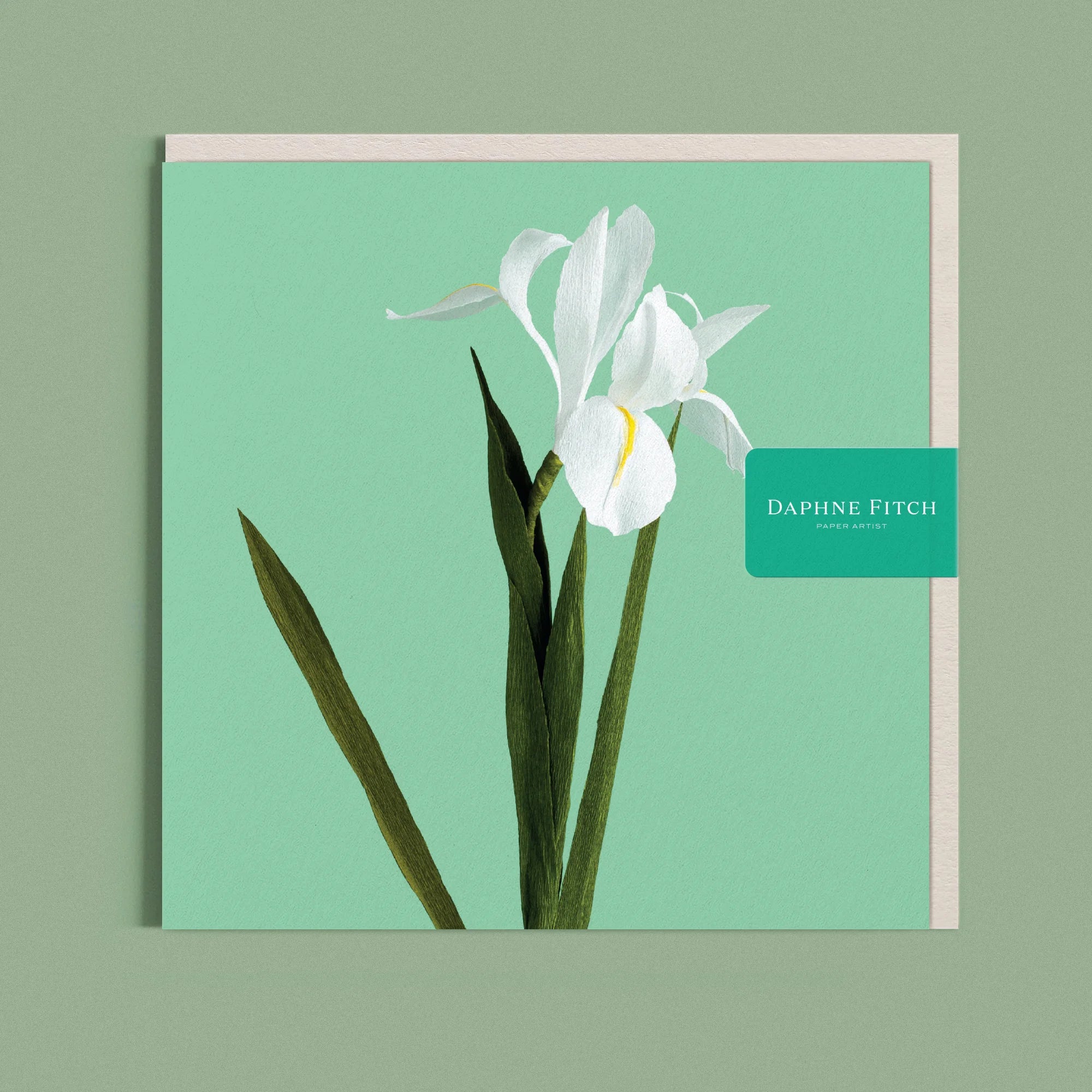 Greeting card with a image of a handcrafted paper Dutch White Iris on a soft green background by paper artist Daphne Fitch.