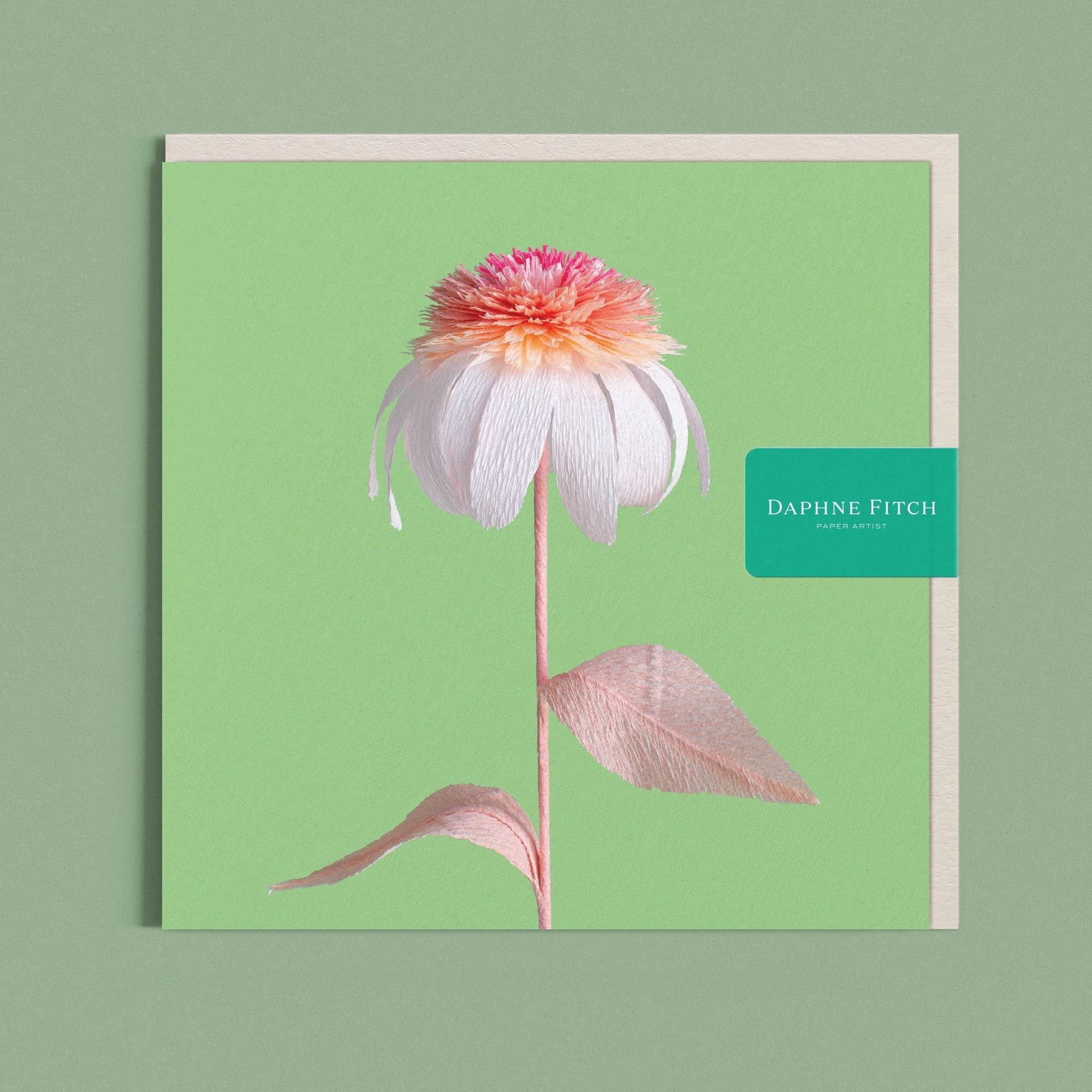 Greeting card with a image of a handcrafted paper pink and white echinacea on a bright green background by paper artist Daphne Fitch.