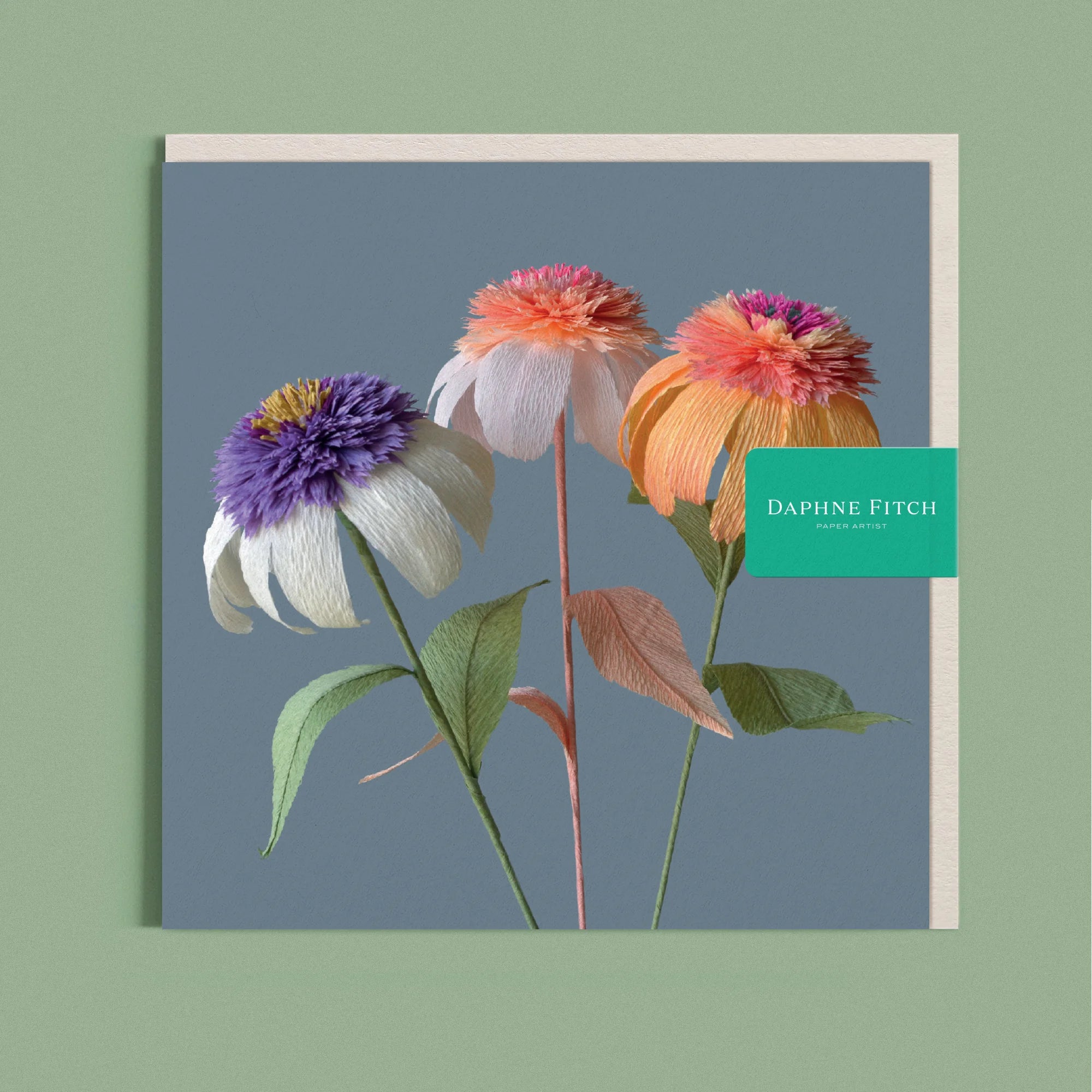 Greeting card with a image of a handcrafted paper echinacea trio on a smoky blue background by paper artist Daphne Fitch.