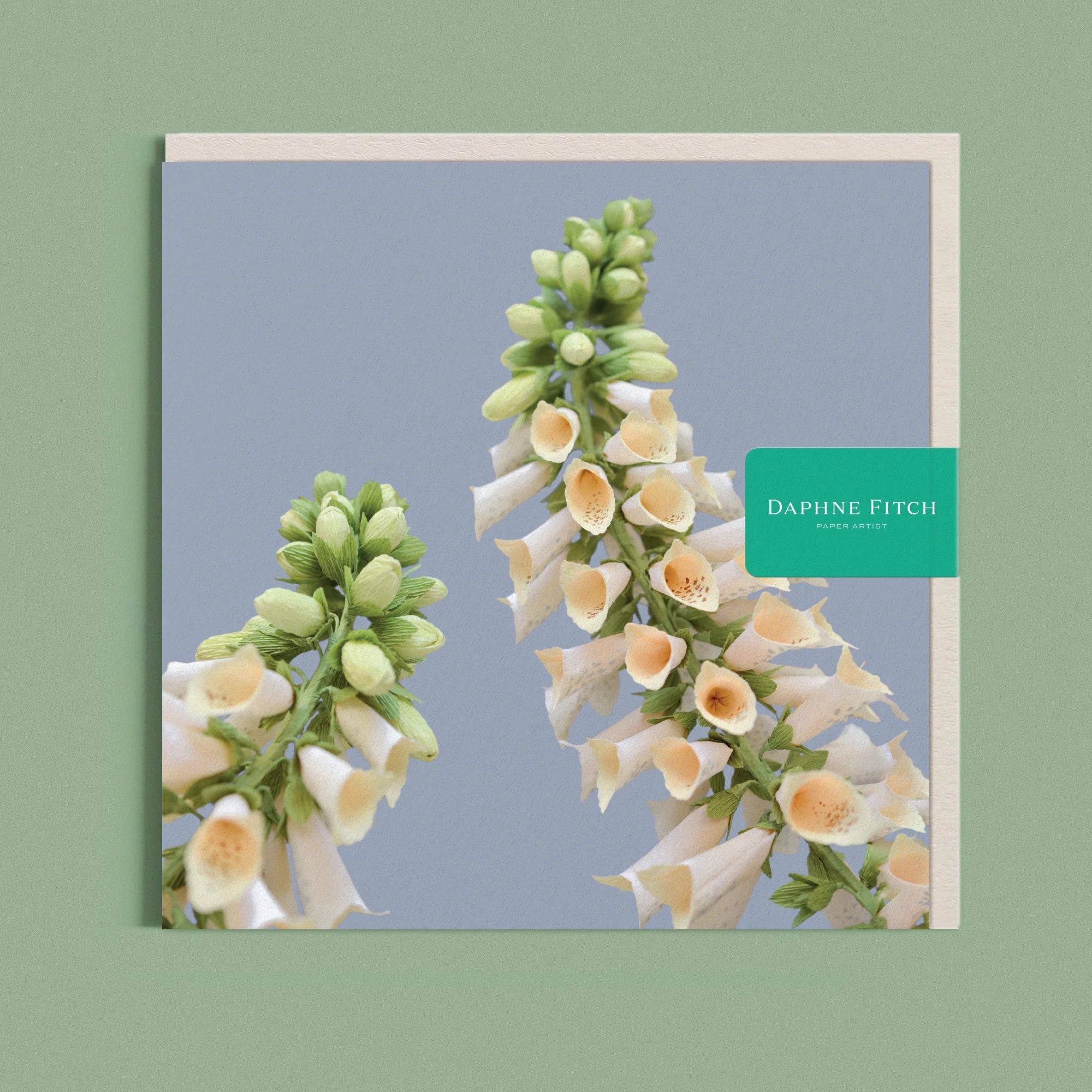 Greeting card with a image of a handcrafted paper white foxglove on a blue background by paper artist Daphne Fitch.