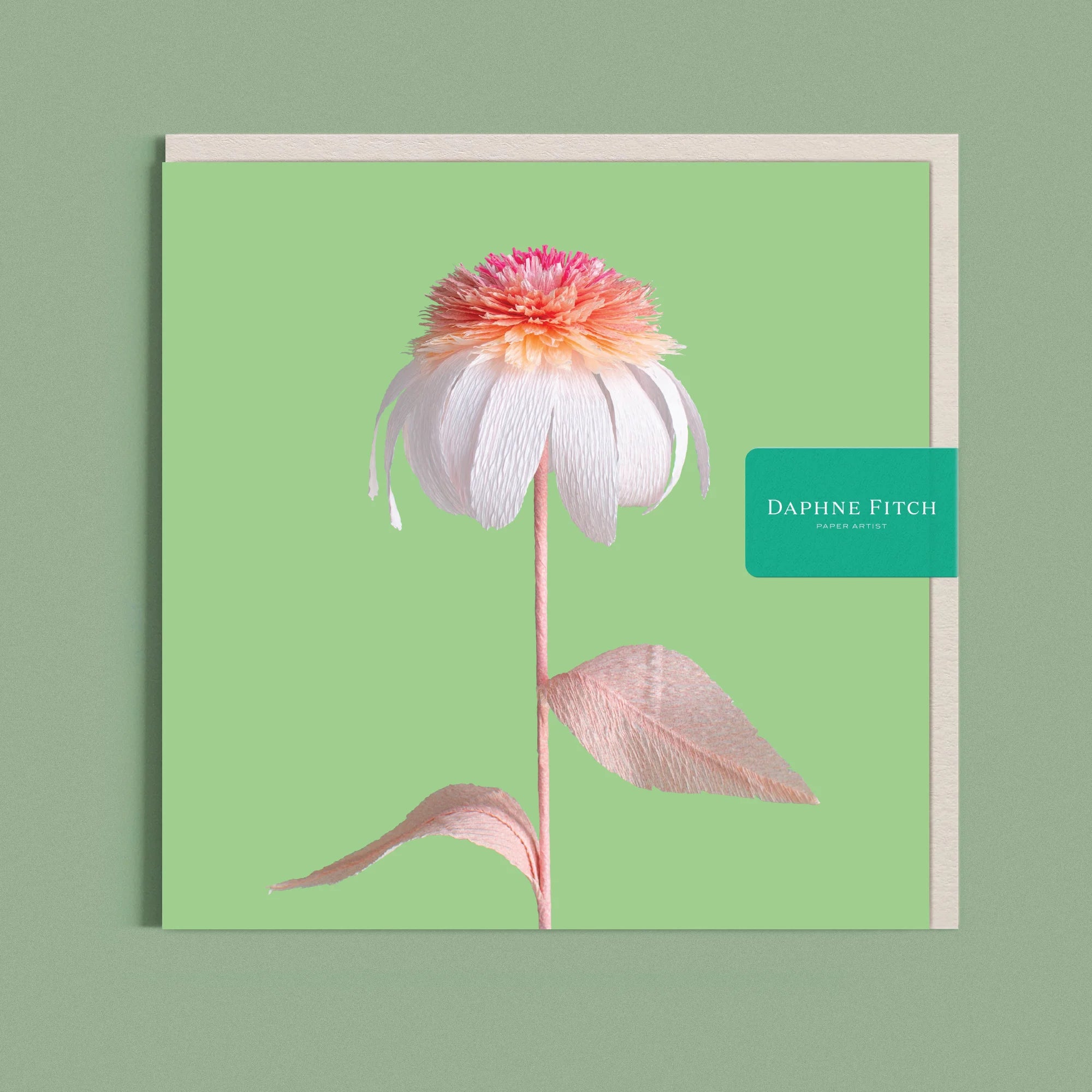 Greeting card with a image of a handcrafted paper pink and white echinacea on a light green background by paper artist Daphne Fitch.