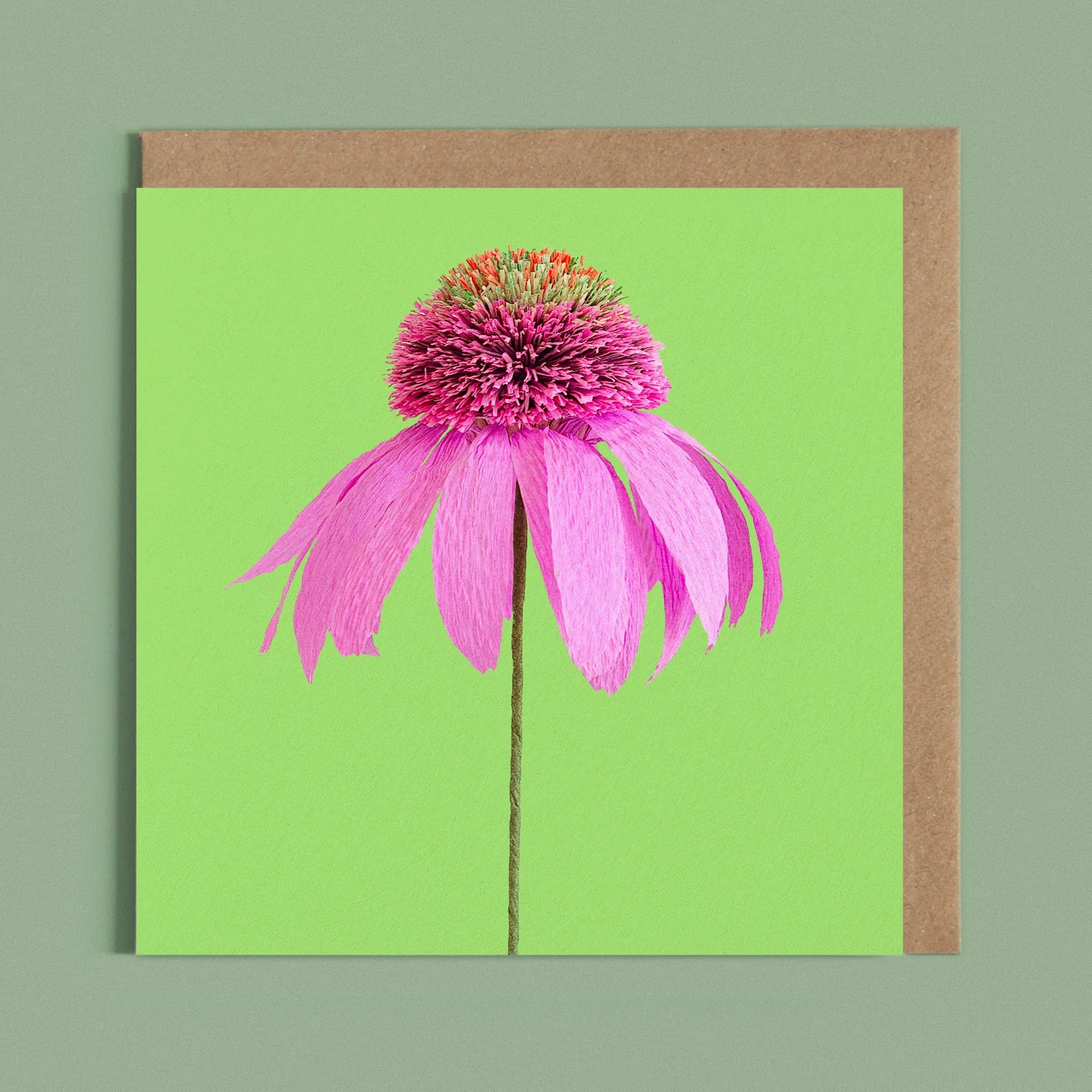 Greeting card with a image of a handcrafted paper pink echinacea on a bright green background by paper artist Daphne Fitch.