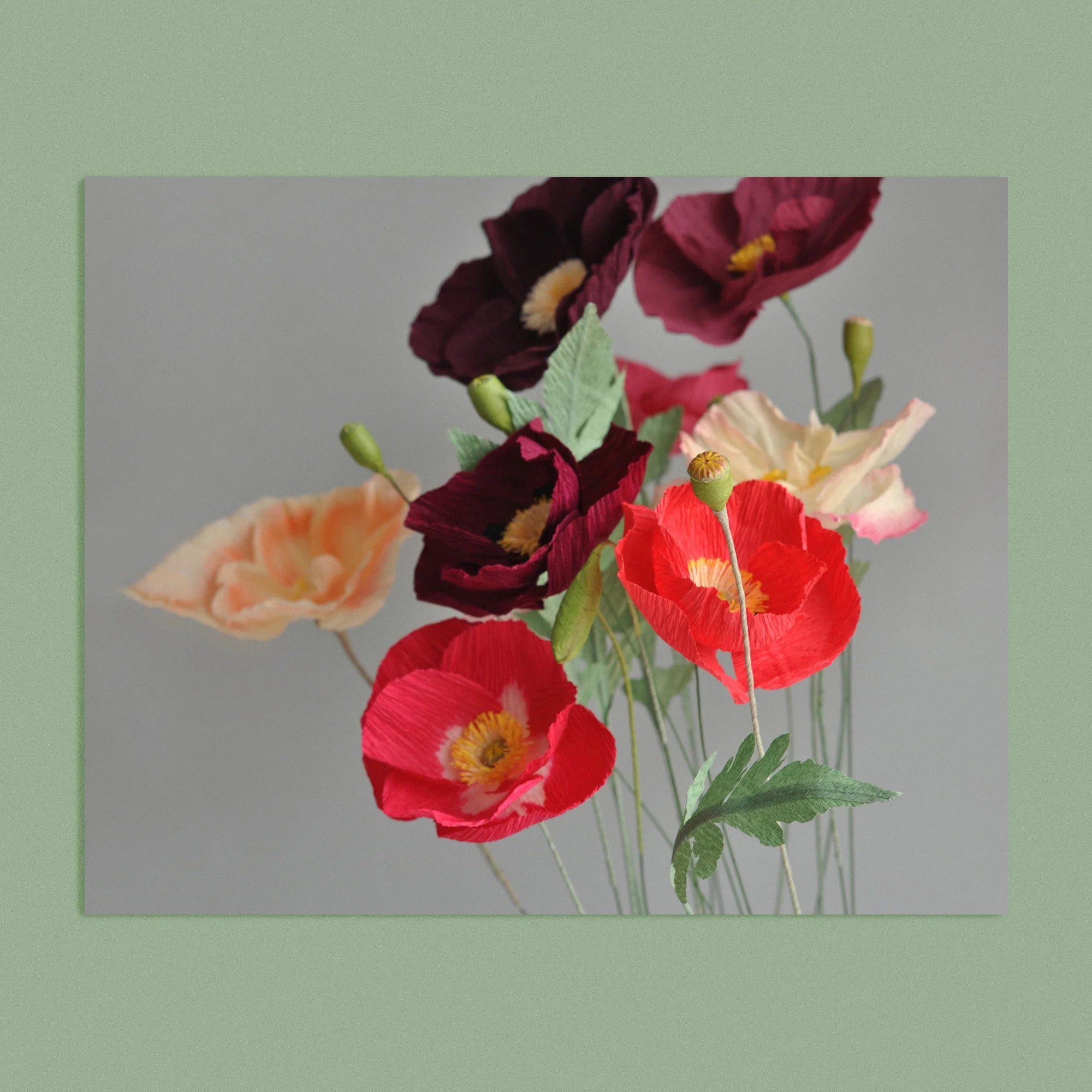 Art print with a image of a handcrafted paper poppies on a grey background colour by paper artist Daphne Fitch.