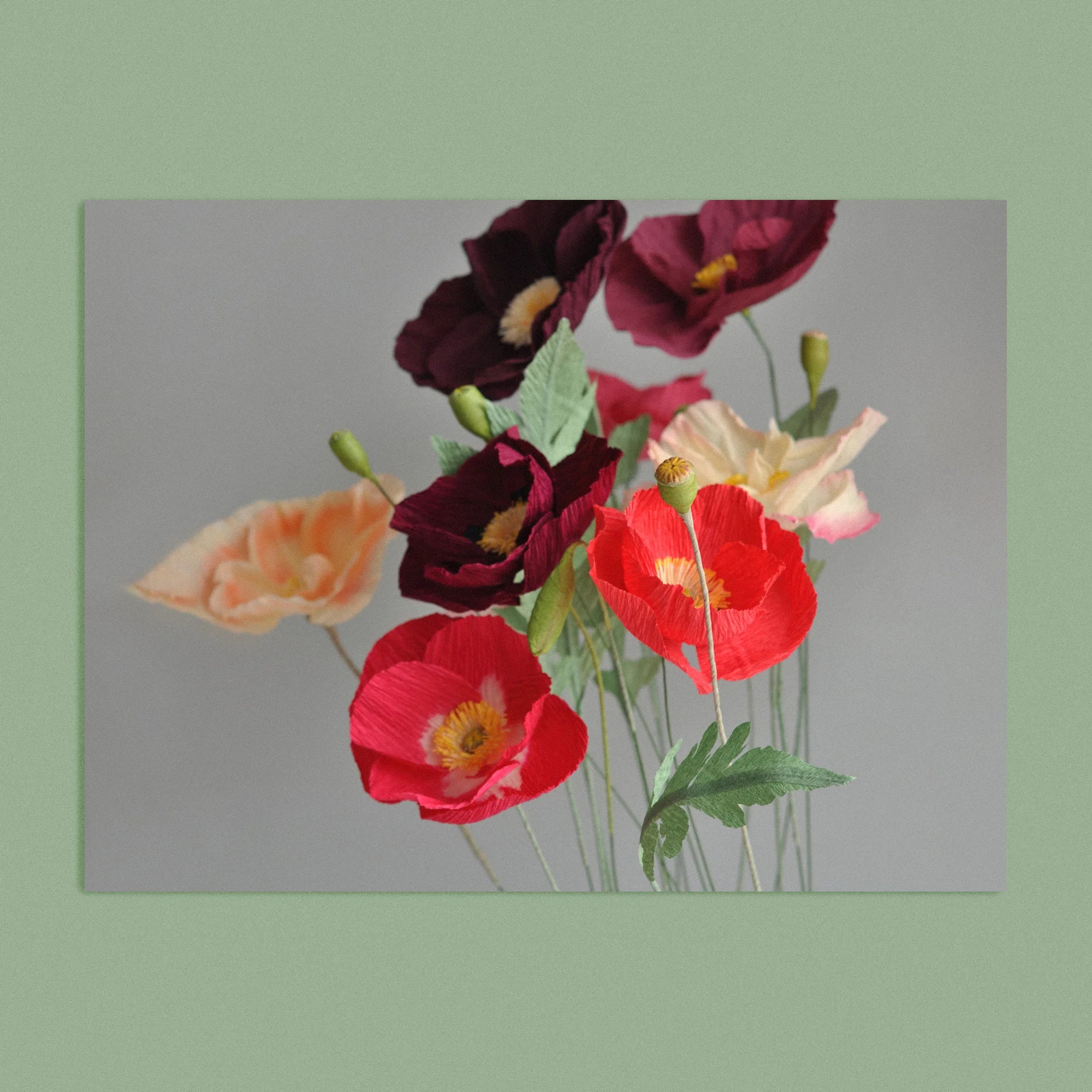 Art print with a image of a handcrafted paper poppies on a grey background colour by paper artist Daphne Fitch.