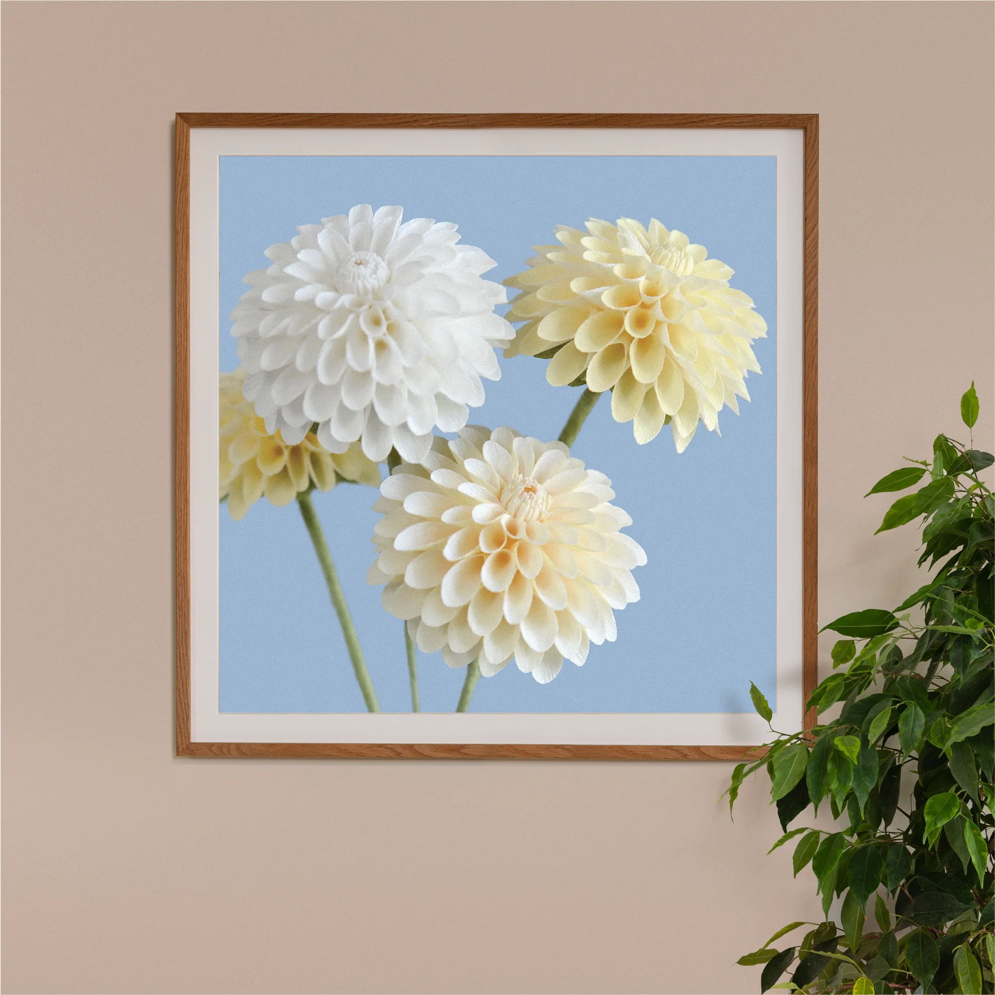 Image of framed art print on a wall, featuring handcrafted paper dahlias on a blue background. Created by paper artist Daphne Fitch.