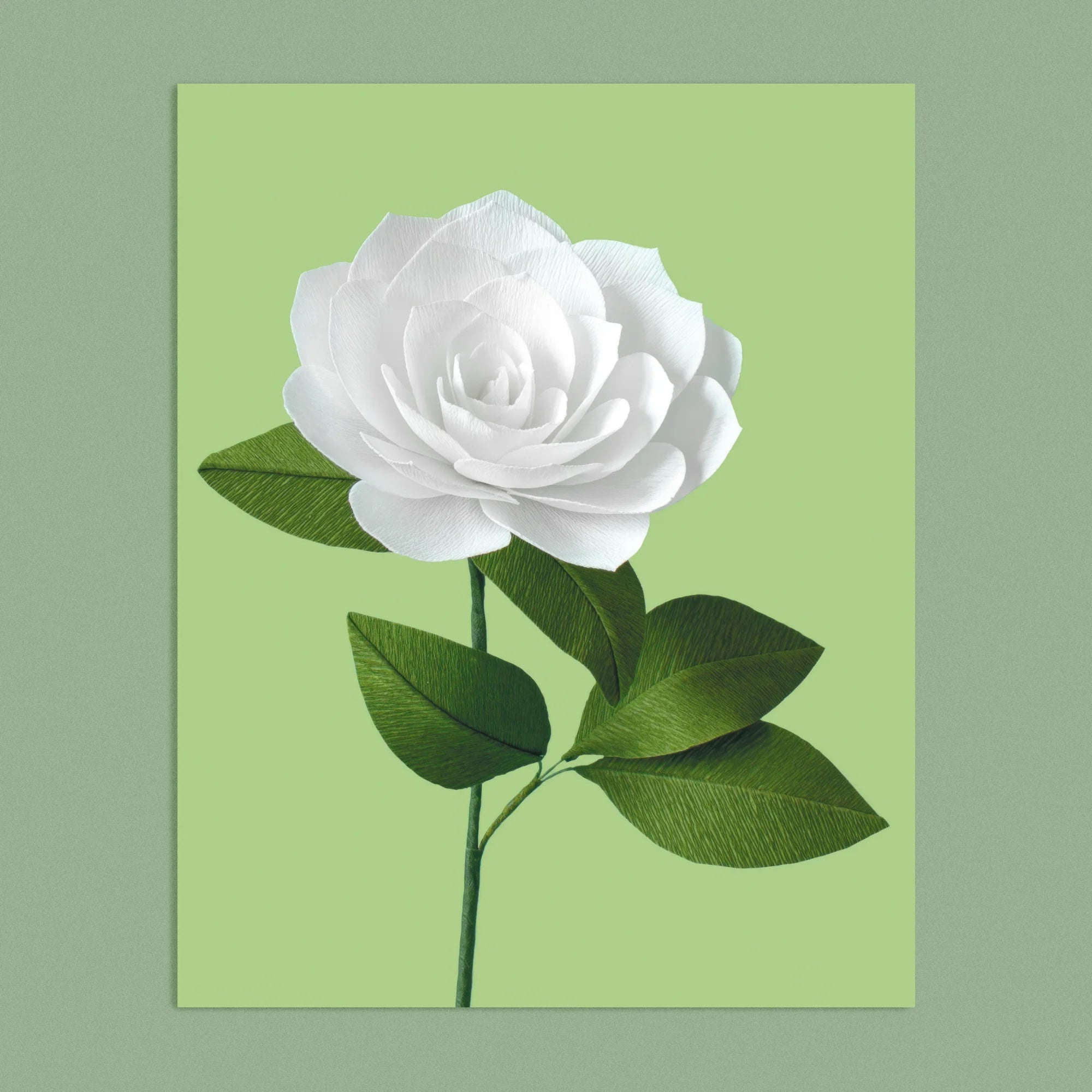 Art print with a image of a handcrafted paper white camellia on a green background colour by paper artist Daphne Fitch.