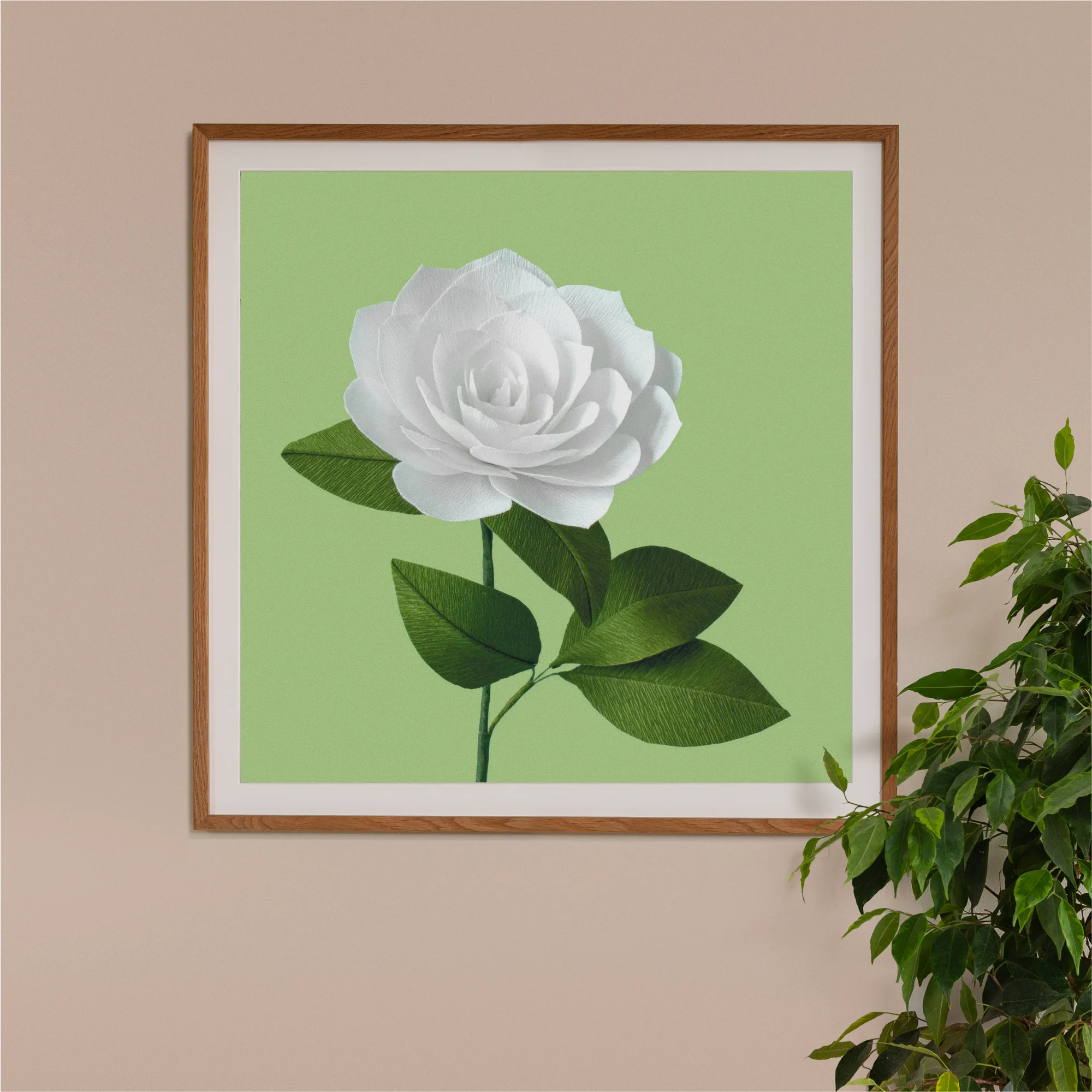 Image of framed art print on a wall, featuring handcrafted paper white camellia on a green background. Created by paper artist Daphne Fitch.