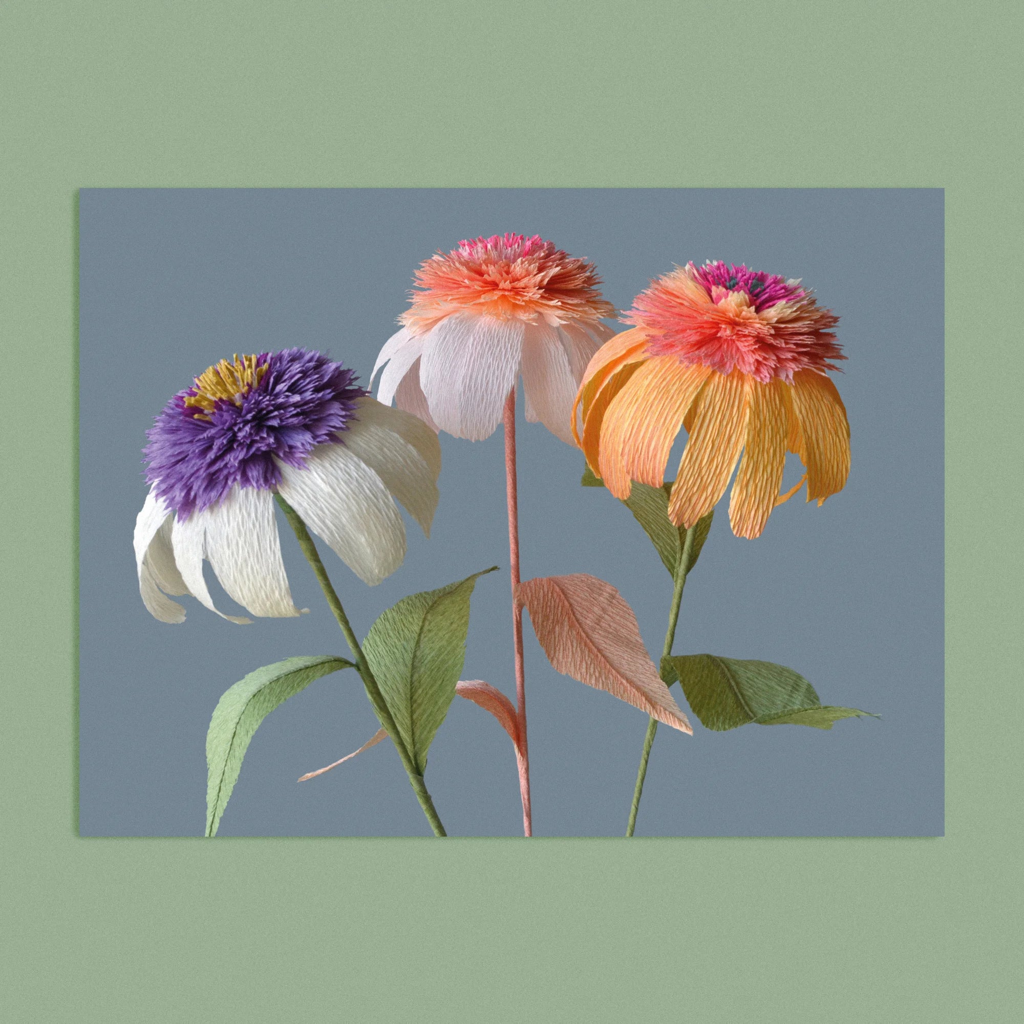 Art print with a image of a handcrafted paper trio echinacea on a smoky grey background colour by paper artist Daphne Fitch.
