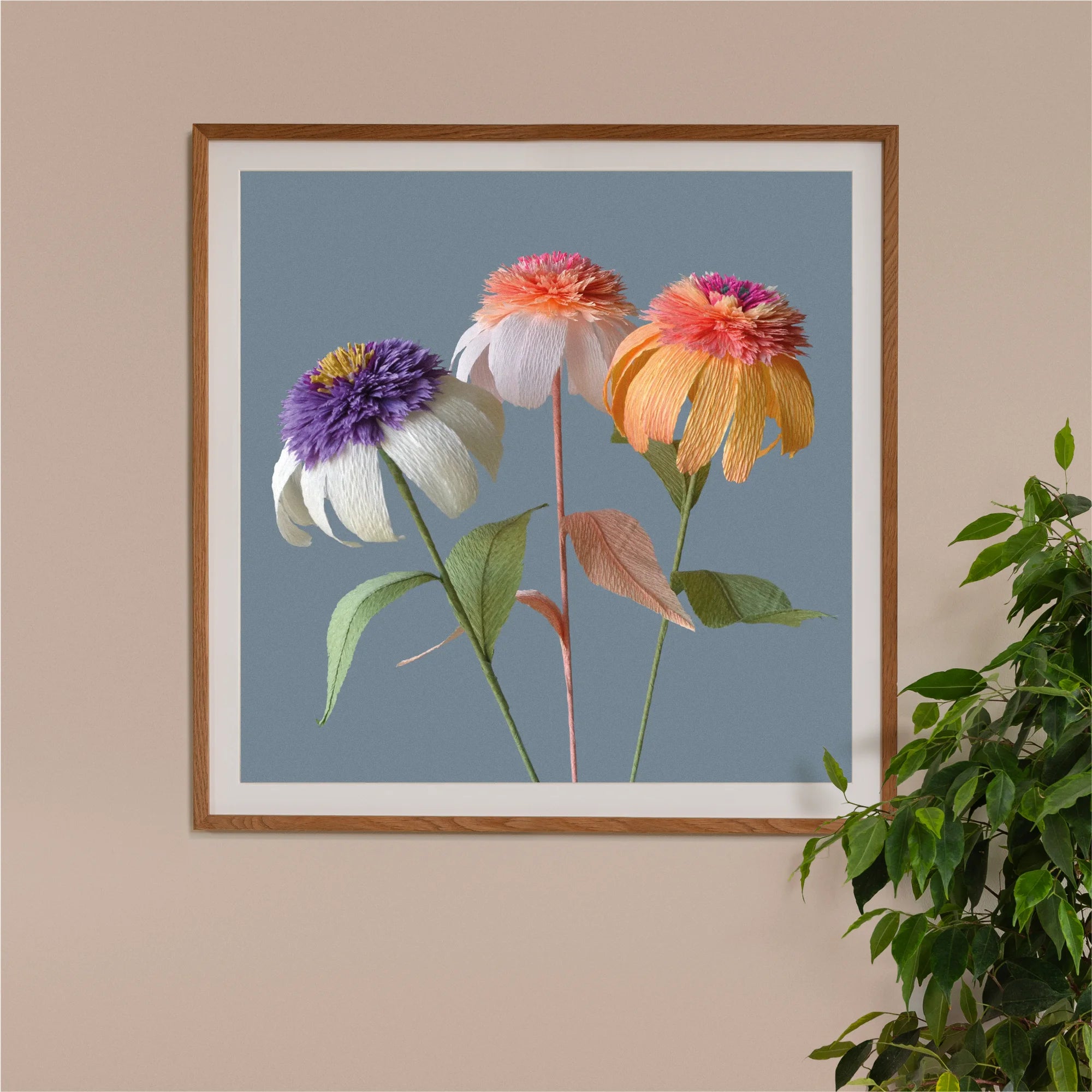 Image of framed art print on a wall, featuring handcrafted paper trio echinacea on a smoky blue background. Created by paper artist Daphne Fitch.