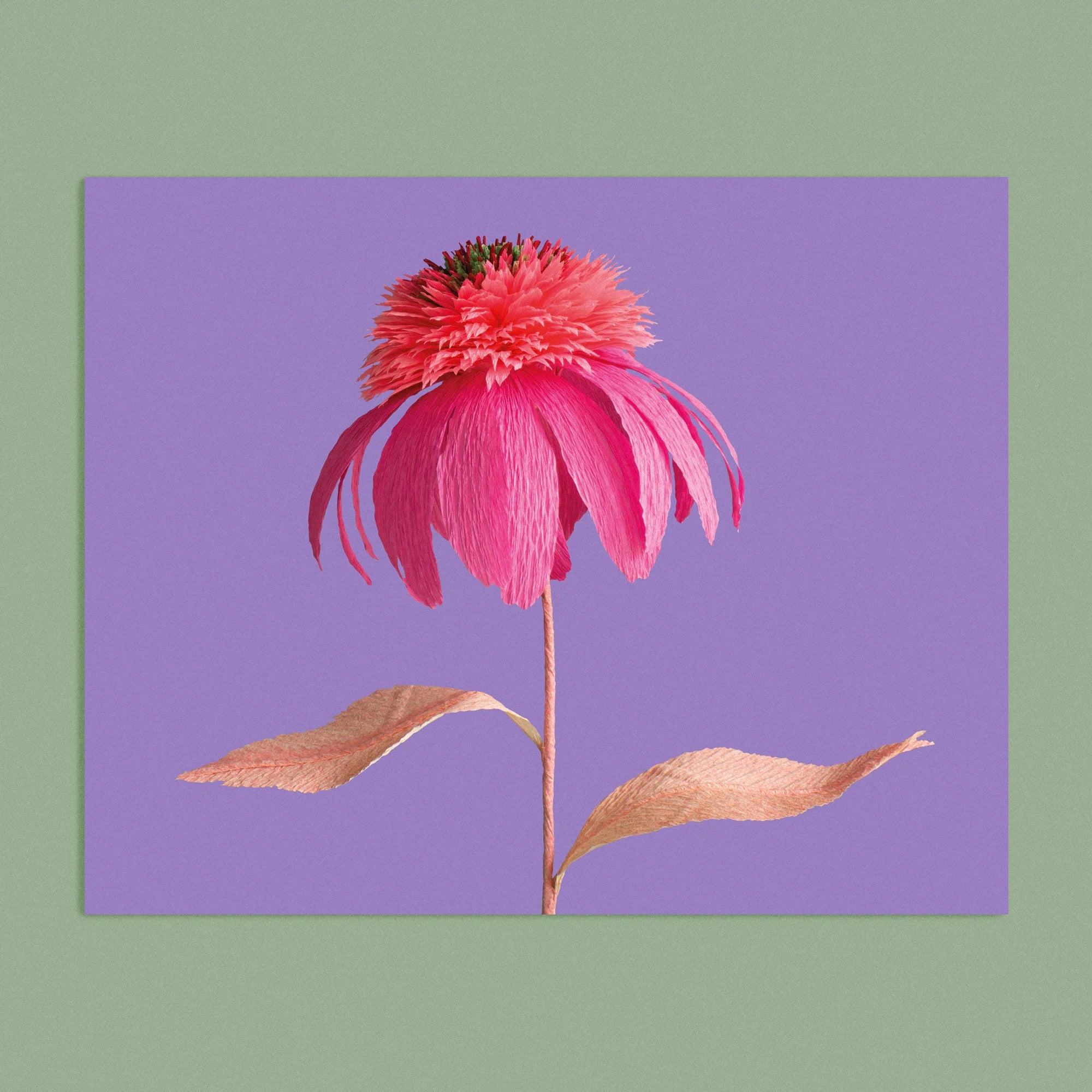 Art print with a image of a handcrafted paper pink echinacea on a purple background colour by paper artist Daphne Fitch.