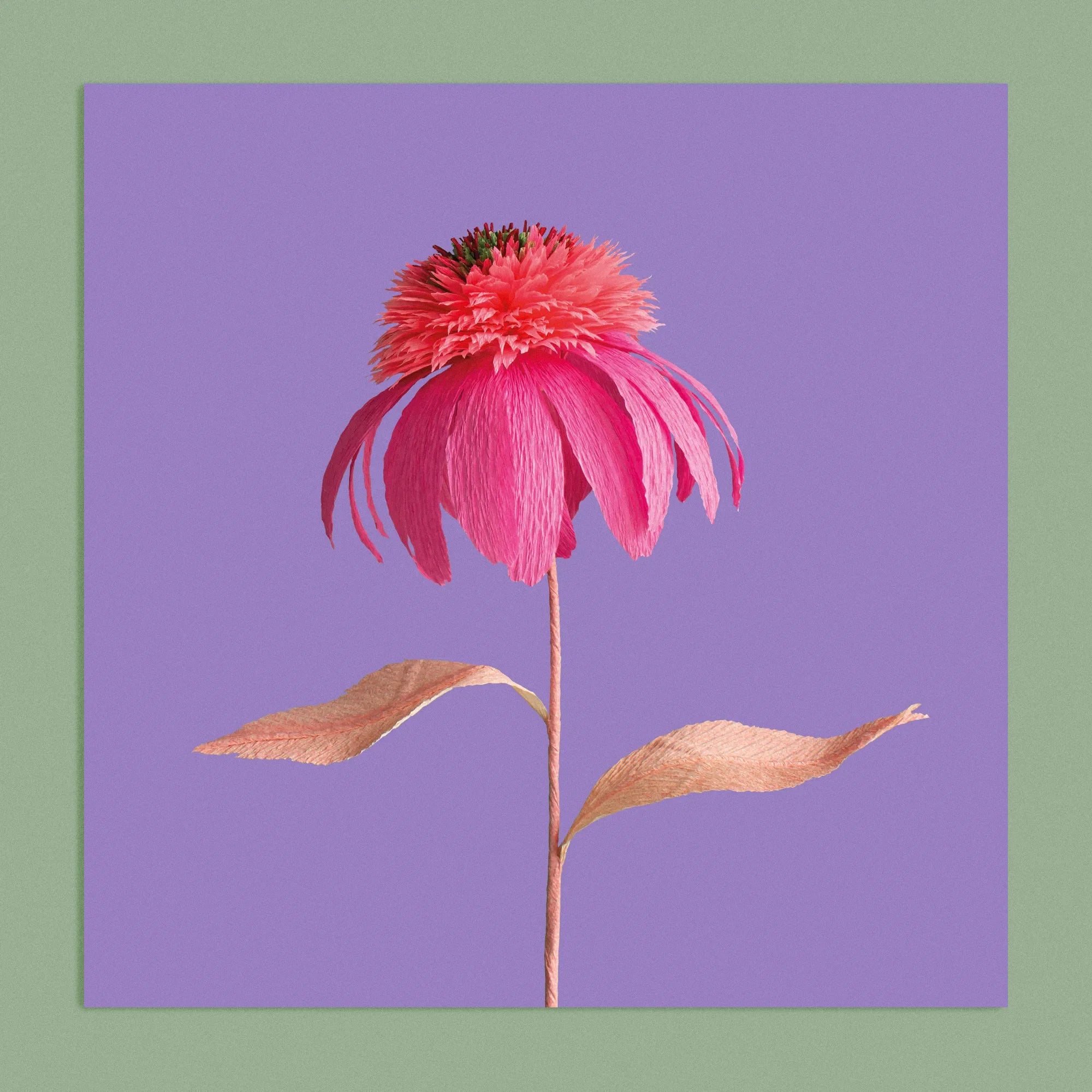 Art print with a image of a handcrafted paper pink echinacea on a purple background colour by paper artist Daphne Fitch.