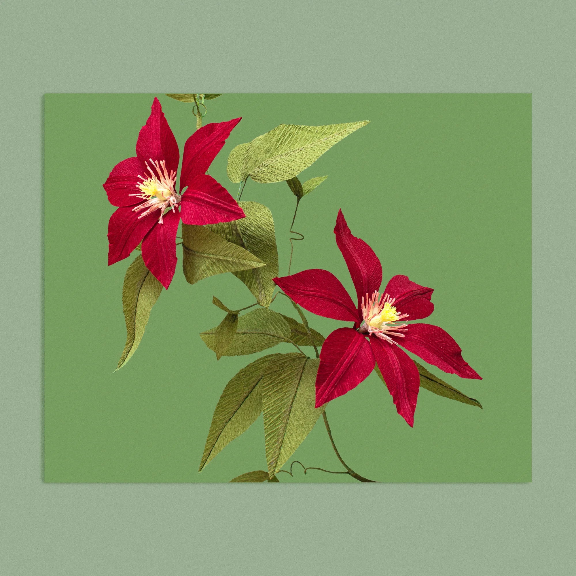 Art print with a image of a handcrafted paper red clematis on a green background colour by paper artist Daphne Fitch.